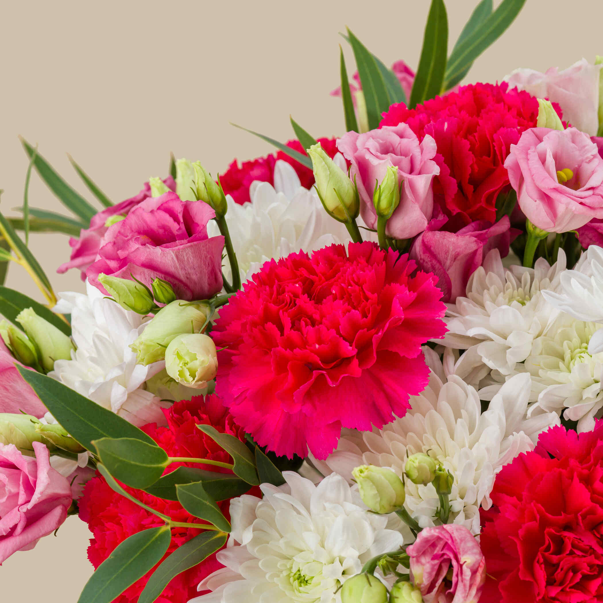 Pinkish Bloom Box Pinkish Bloom Box