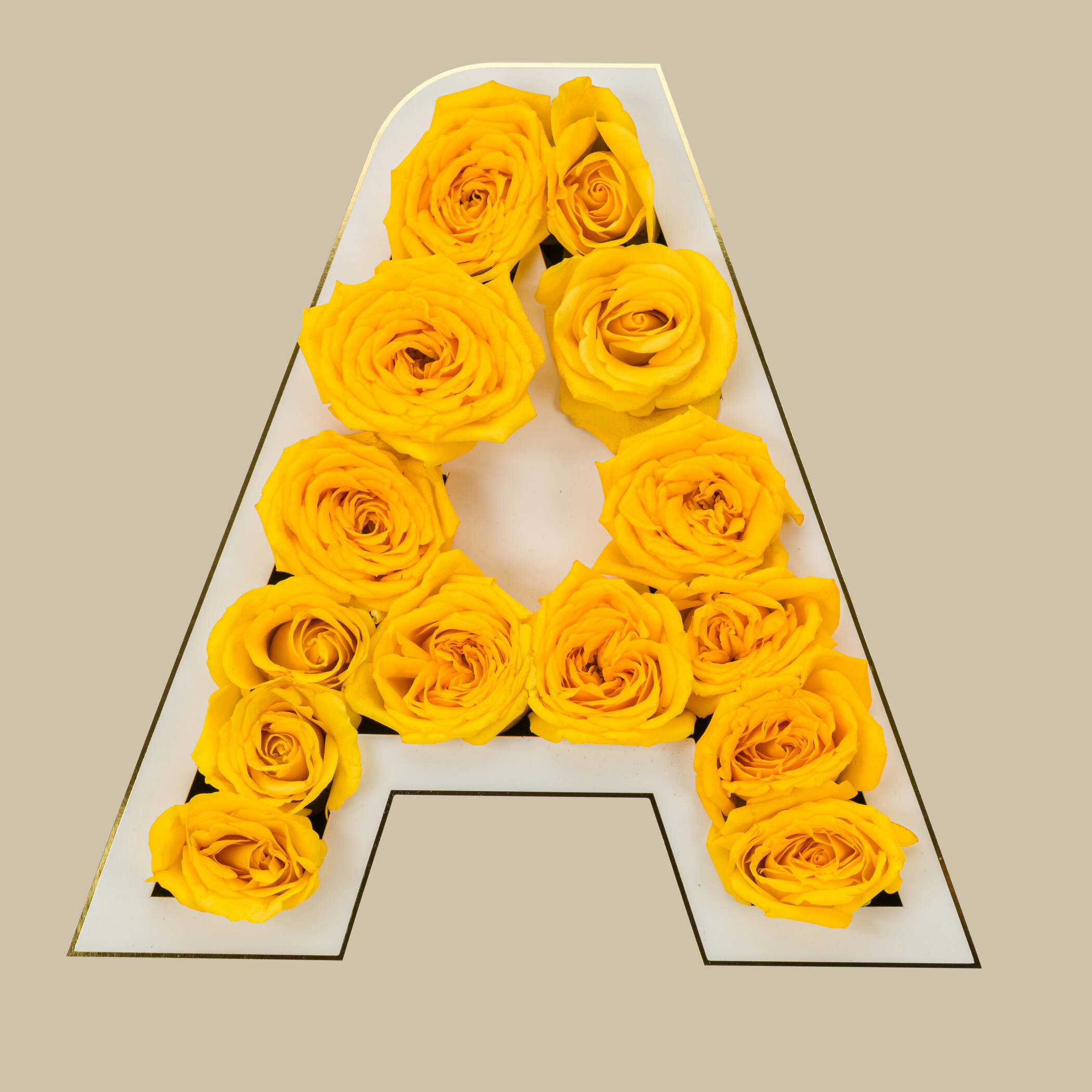 صندوق الأب صندوق الأب