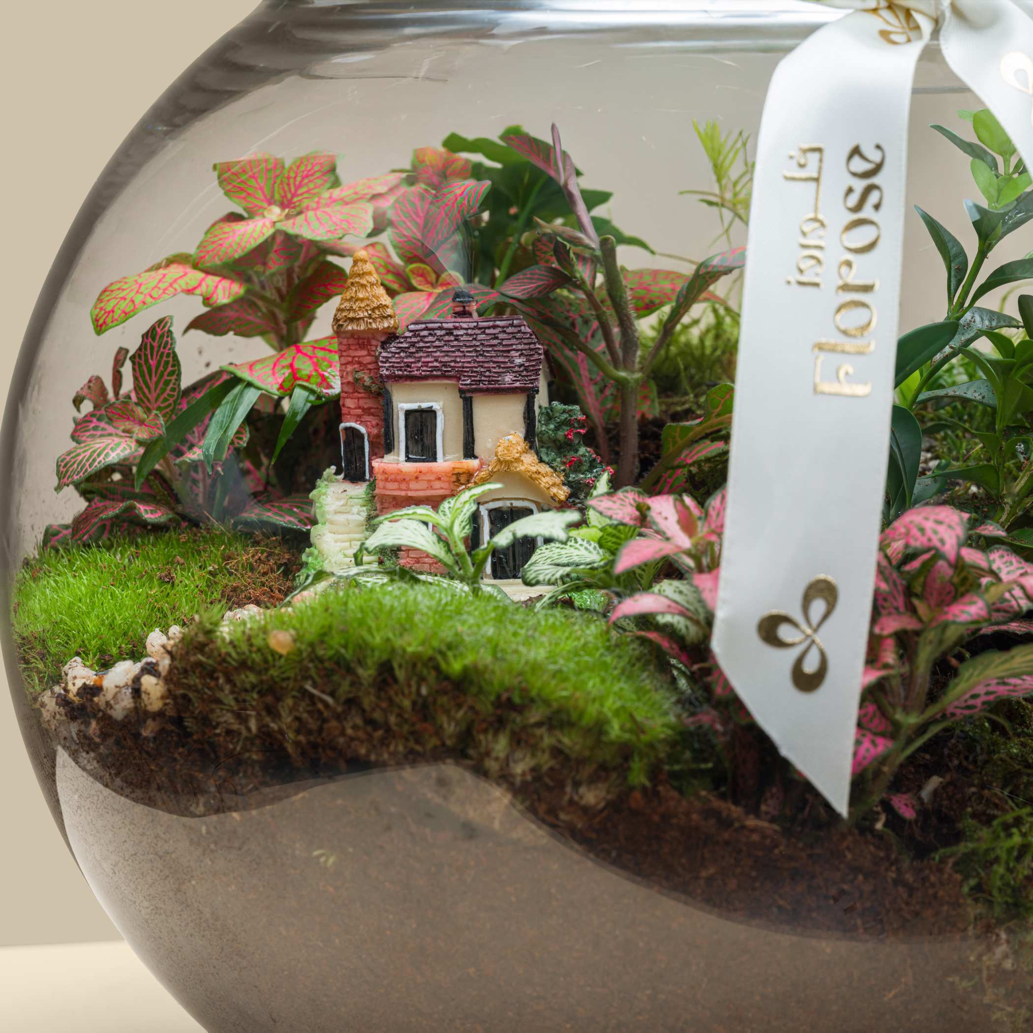 Terrarium Cottage Home Garden | Large Terrarium Cottage Home Garden | Large
