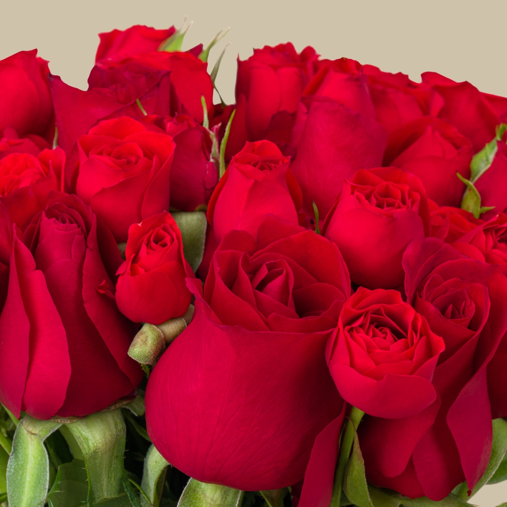 Yves Saint Laurent Y Le Parfum 2025 | Red Glow Vase Yves Saint Laurent Y Le Parfum 2025 | Red Glow Vase