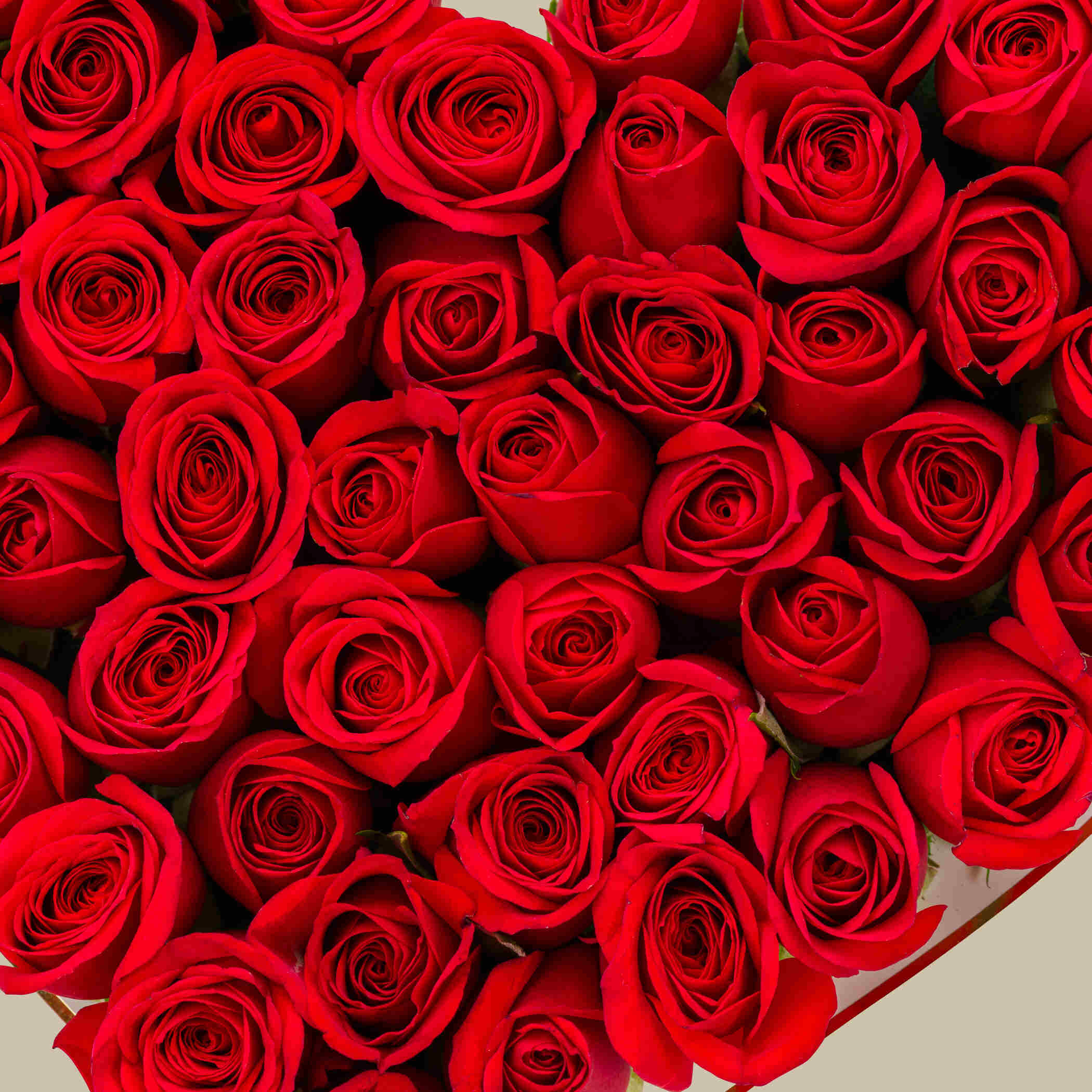 Love you Box Love you Box