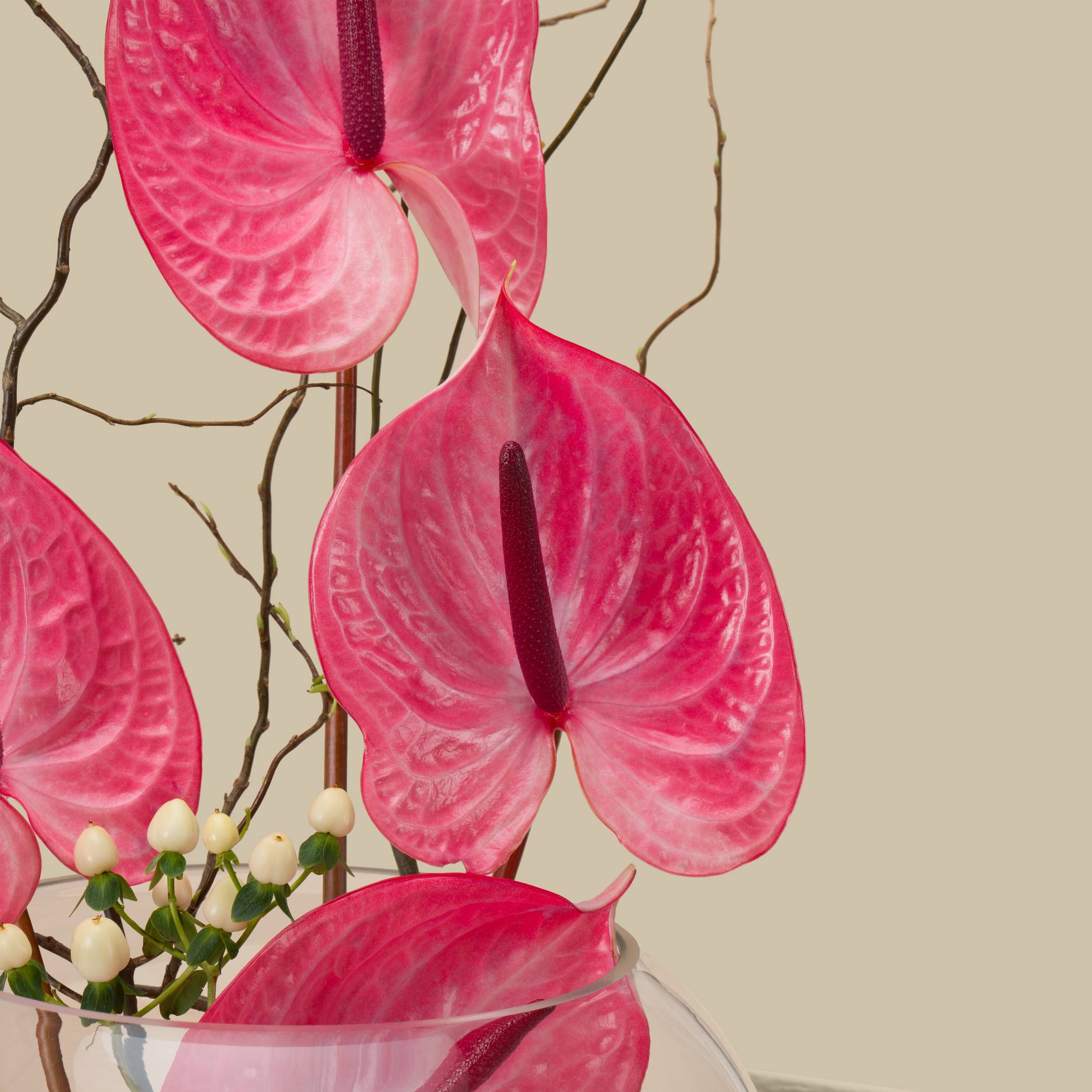 Pink Pearl Round Vase Pink Pearl Round Vase