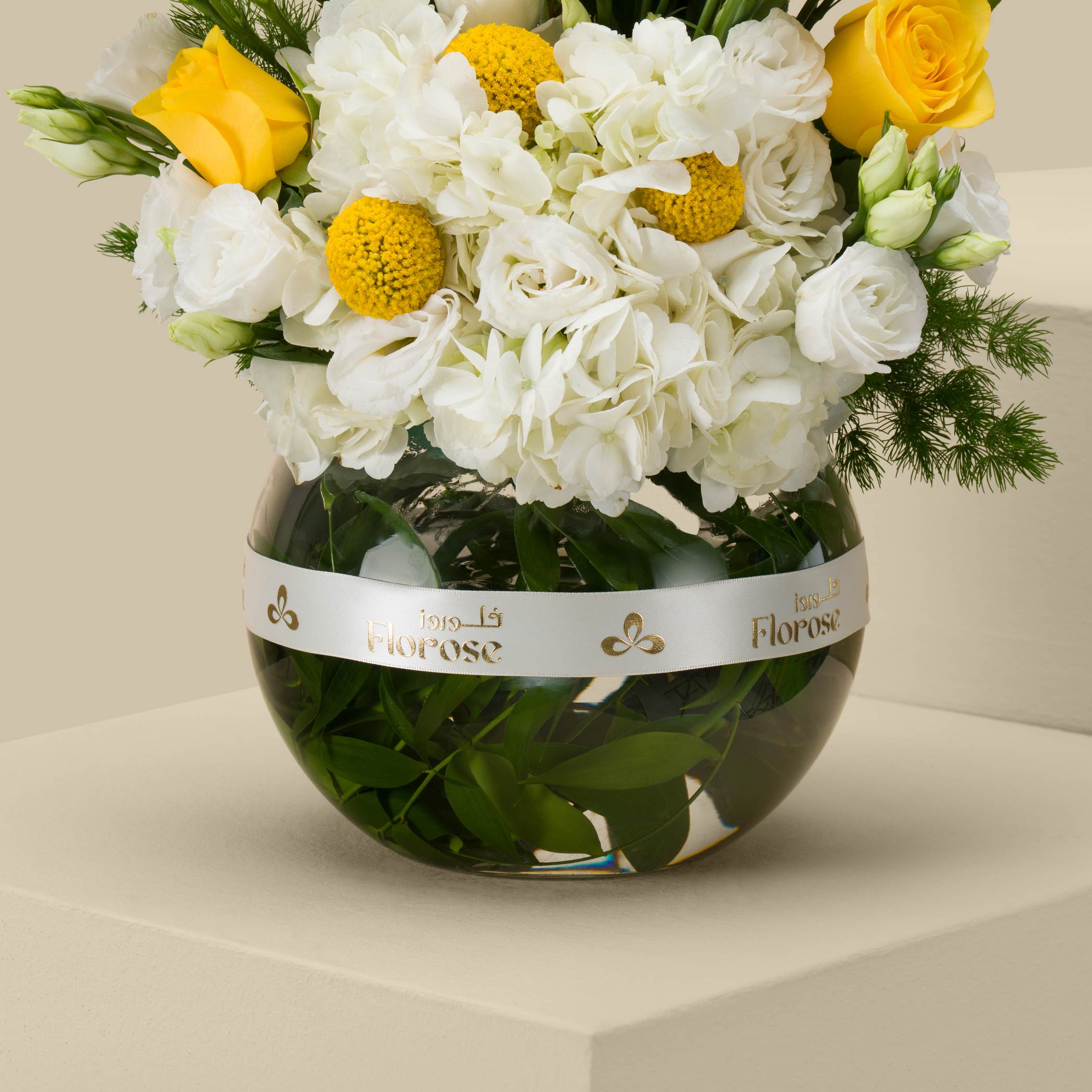 Sun Winged Round Vase Sun Winged Round Vase