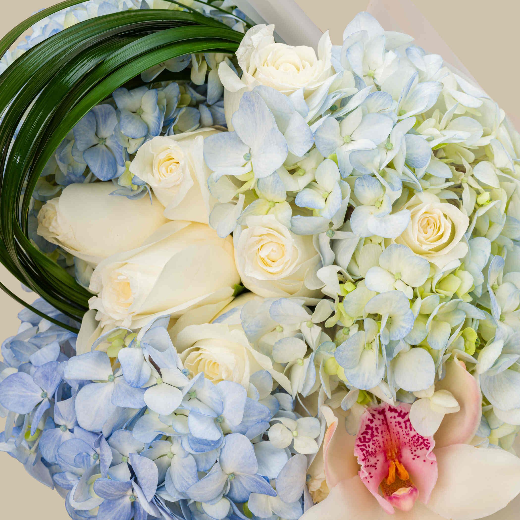 Versace Dylan Blue Pour Femme EDP | Pastel Delight Bouquet Versace Dylan Blue Pour Femme EDP | Pastel Delight Bouquet