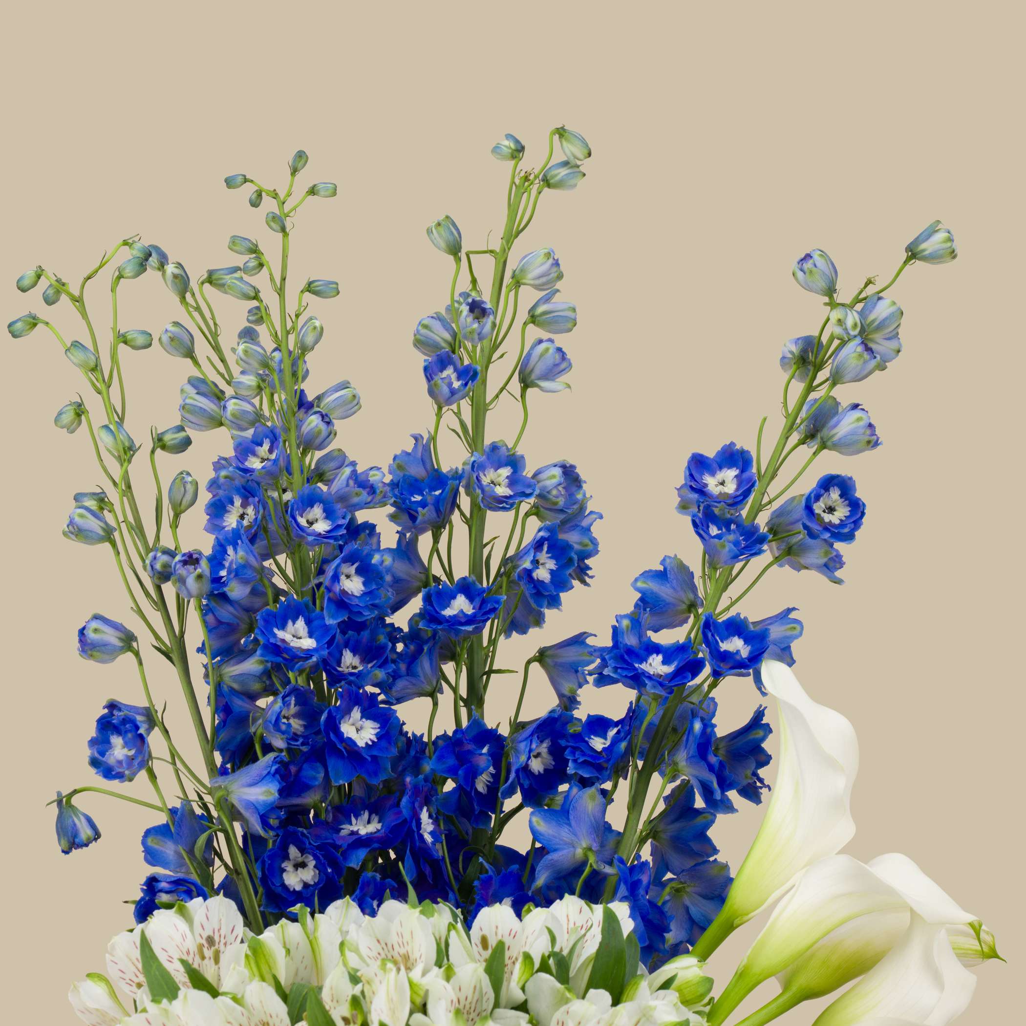 Safety Moments Vase Safety Moments Vase