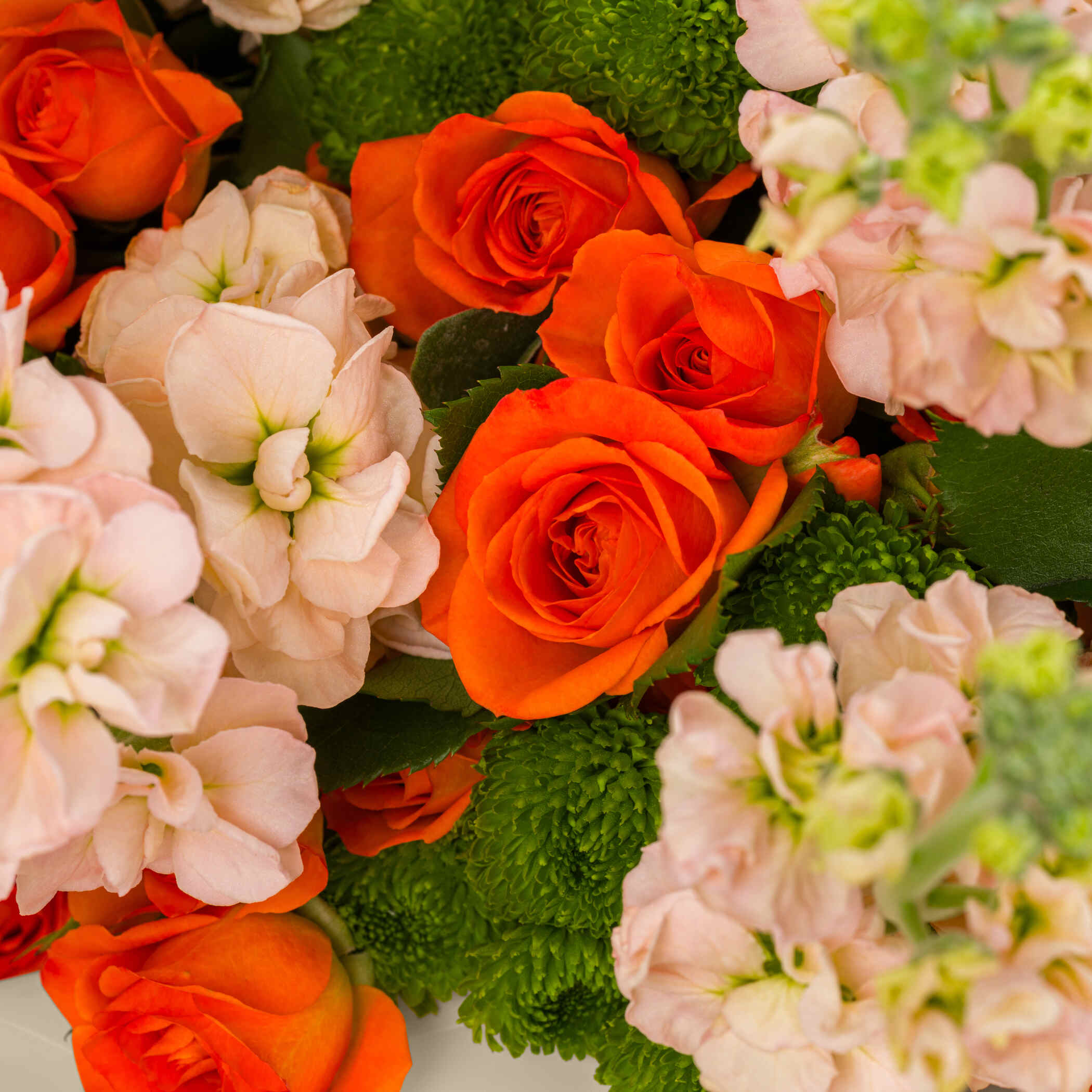 Spring Radiance Bouquet Spring Radiance Bouquet