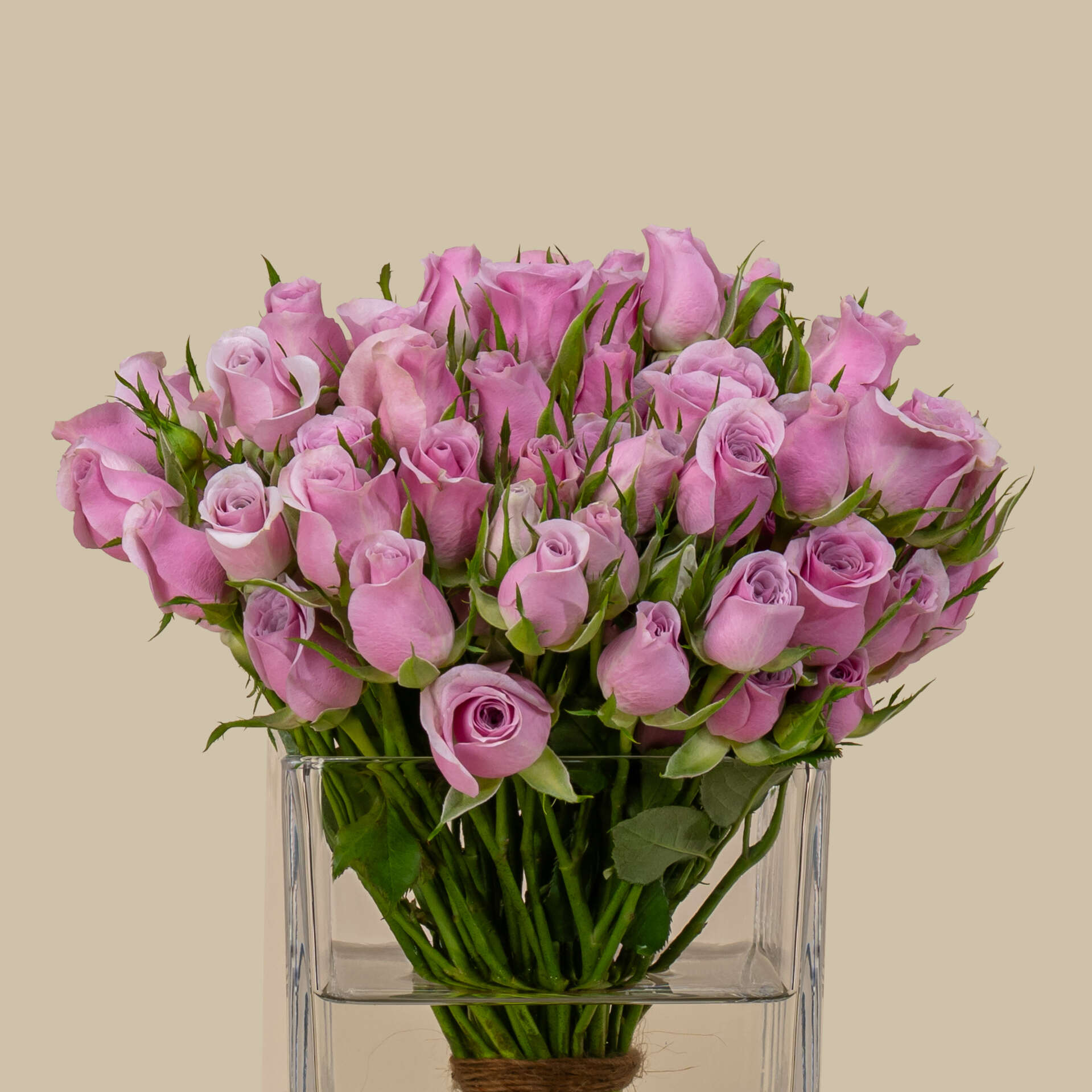Fresh Spray Rose Square Vase Light Purple | 15 Flowers Fresh Spray Rose Square Vase Light Purple | 15 Flowers