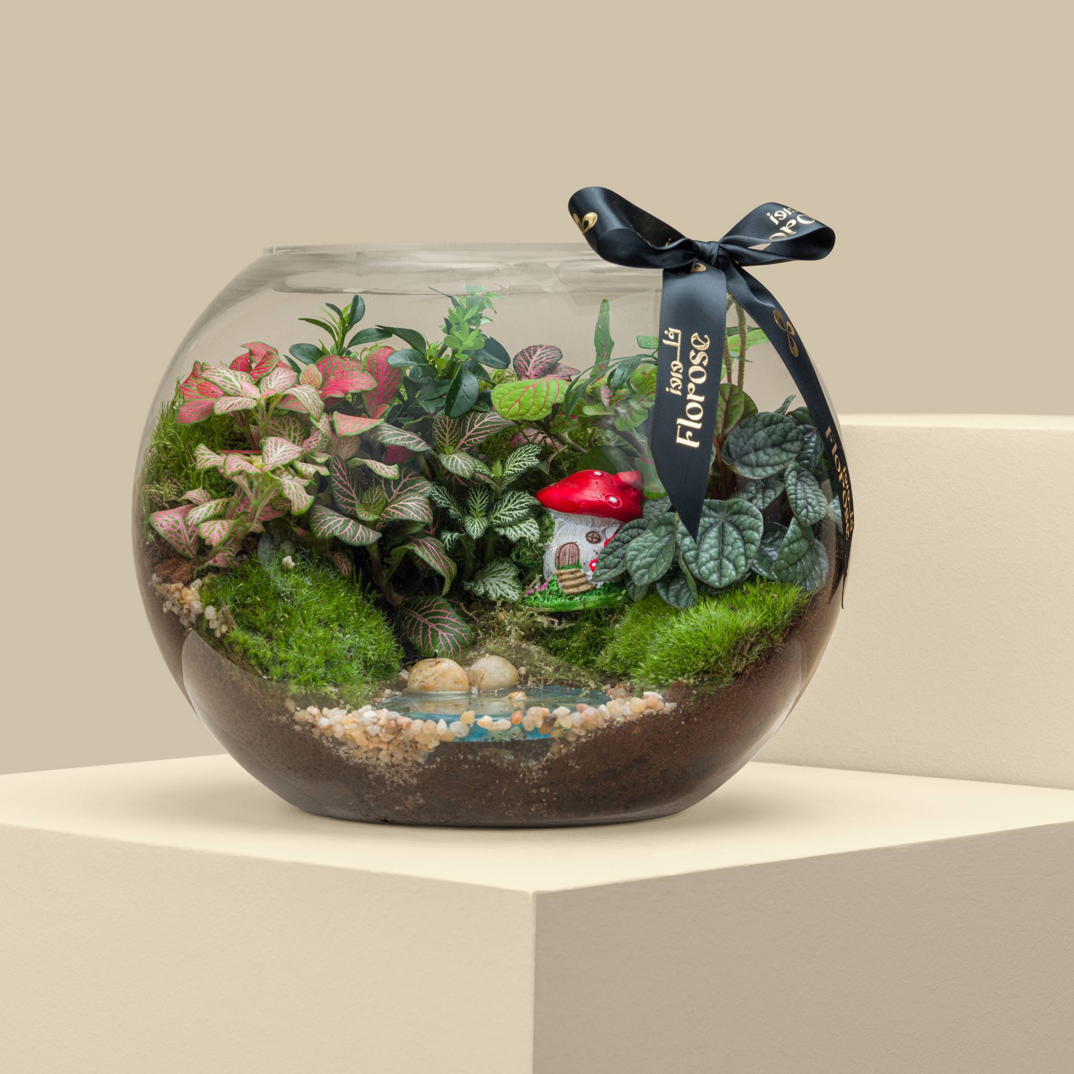 Terrarium Mushroom Forest | Large Terrarium Mushroom Forest | Large
