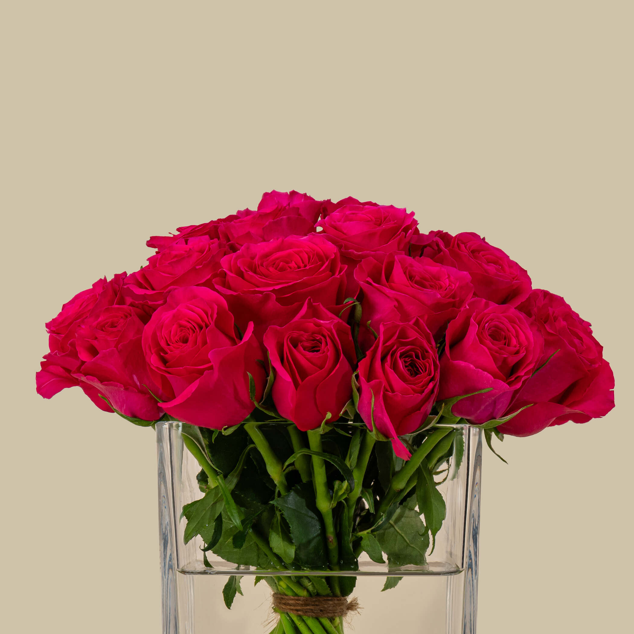 Dazzling Rose Square Vase Fuchsia | 25 Flowers Dazzling Rose Square Vase Fuchsia | 25 Flowers