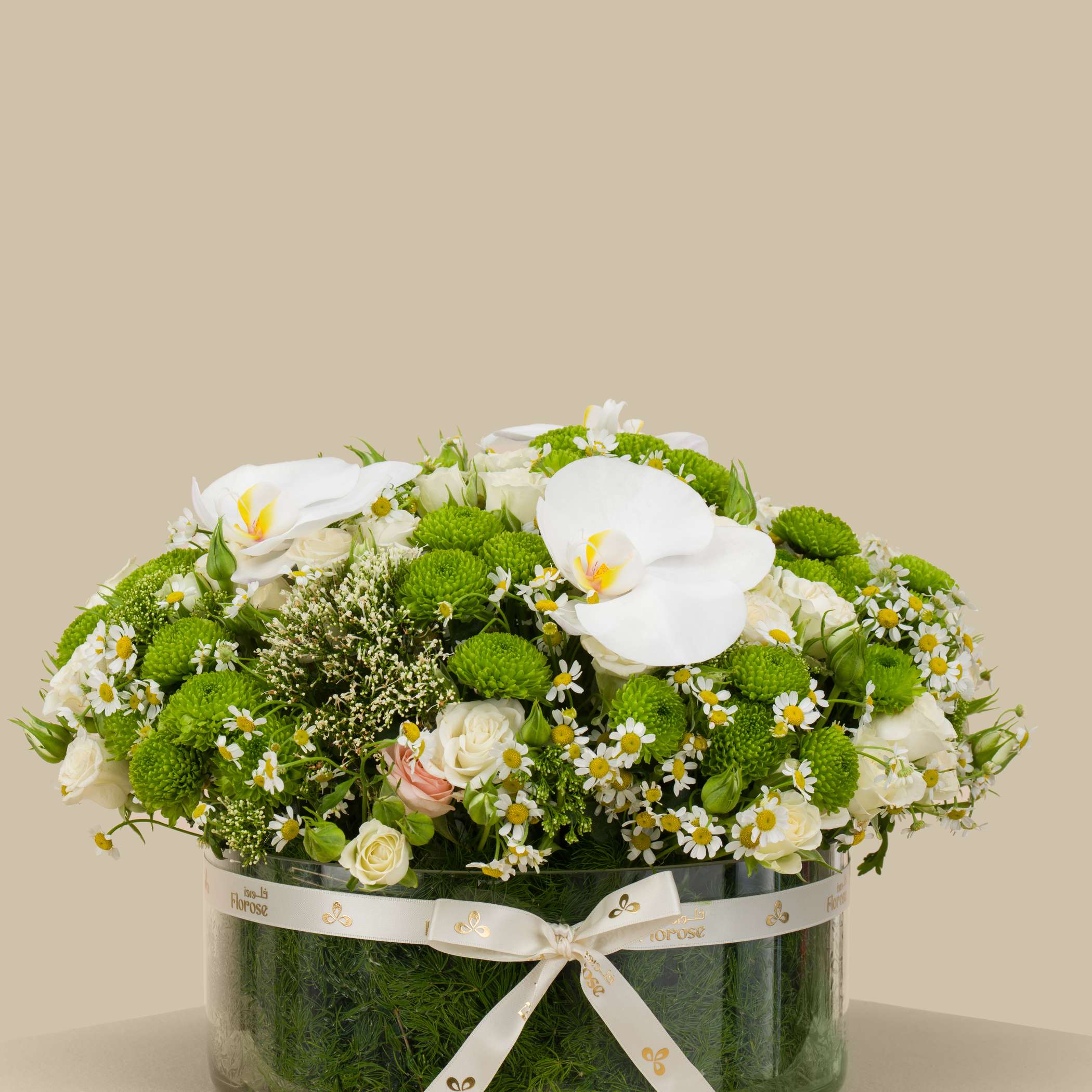 مزهرية دائرية نور الطبيعة مزهرية دائرية نور الطبيعة