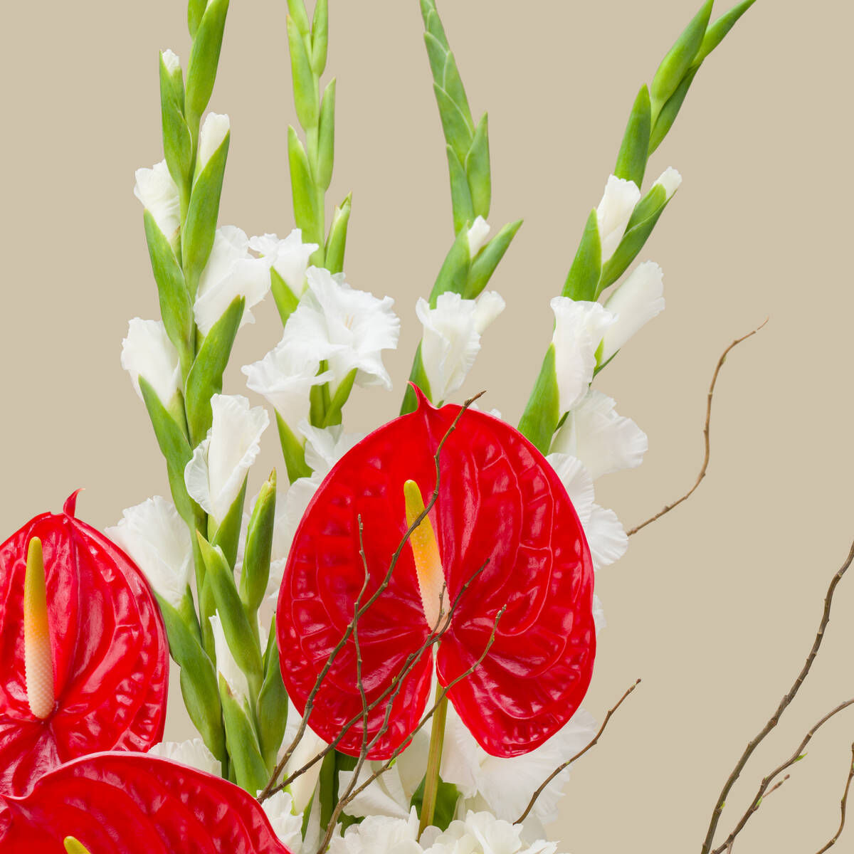 Floral Harp Premium Vase Floral Harp Premium Vase