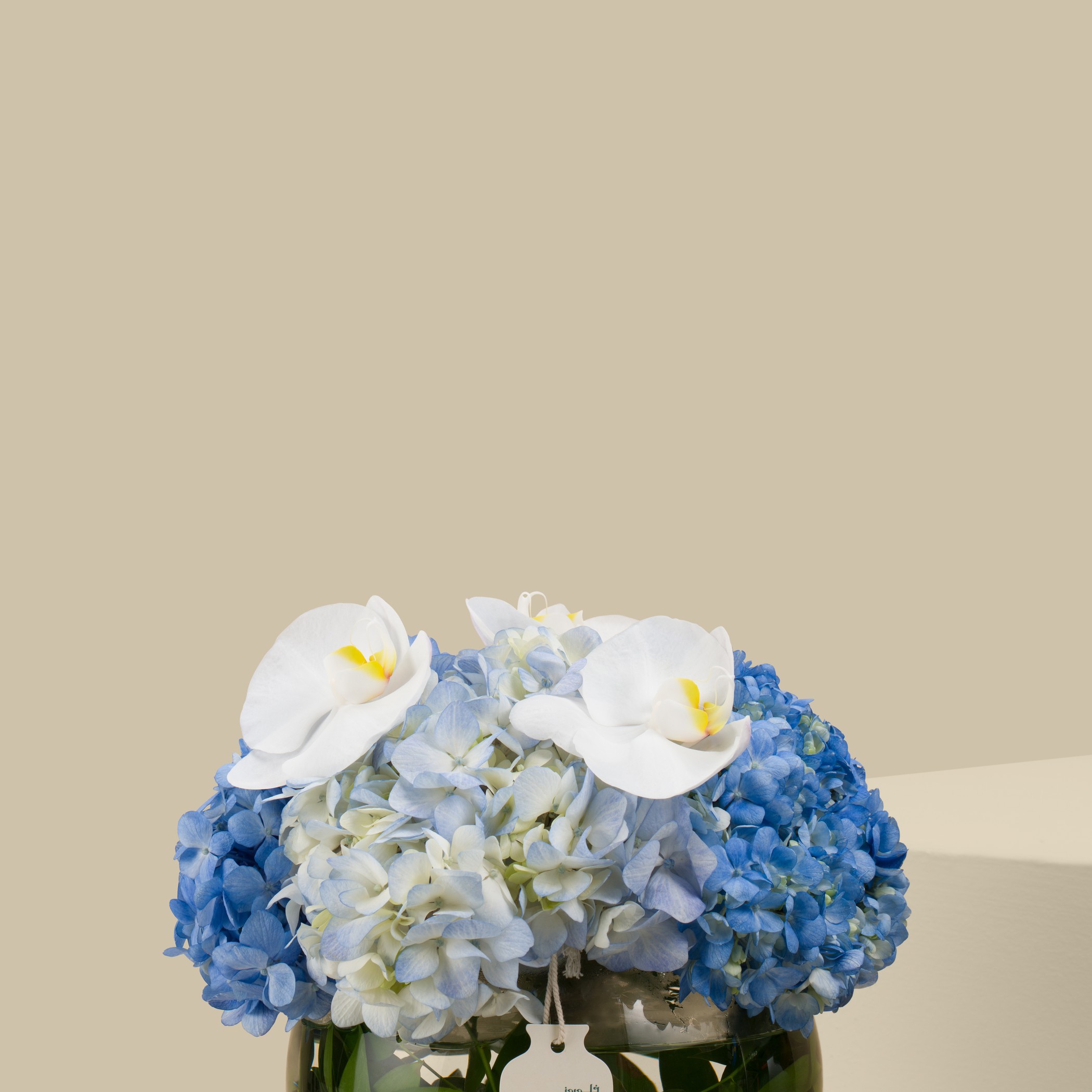 Sea Spectrum Round Vase Sea Spectrum Round Vase
