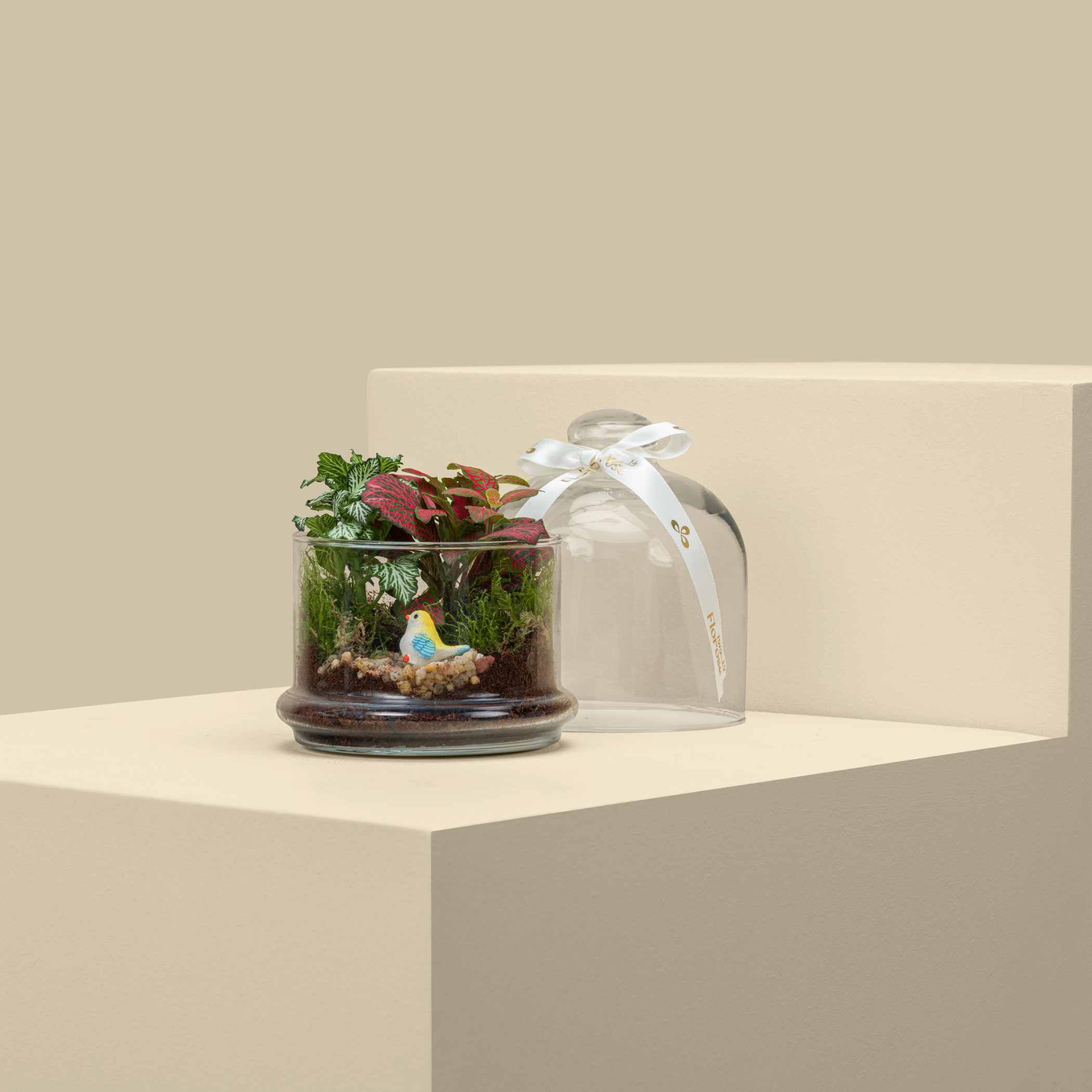 Terrarium Bird Garden Terrarium Bird Garden