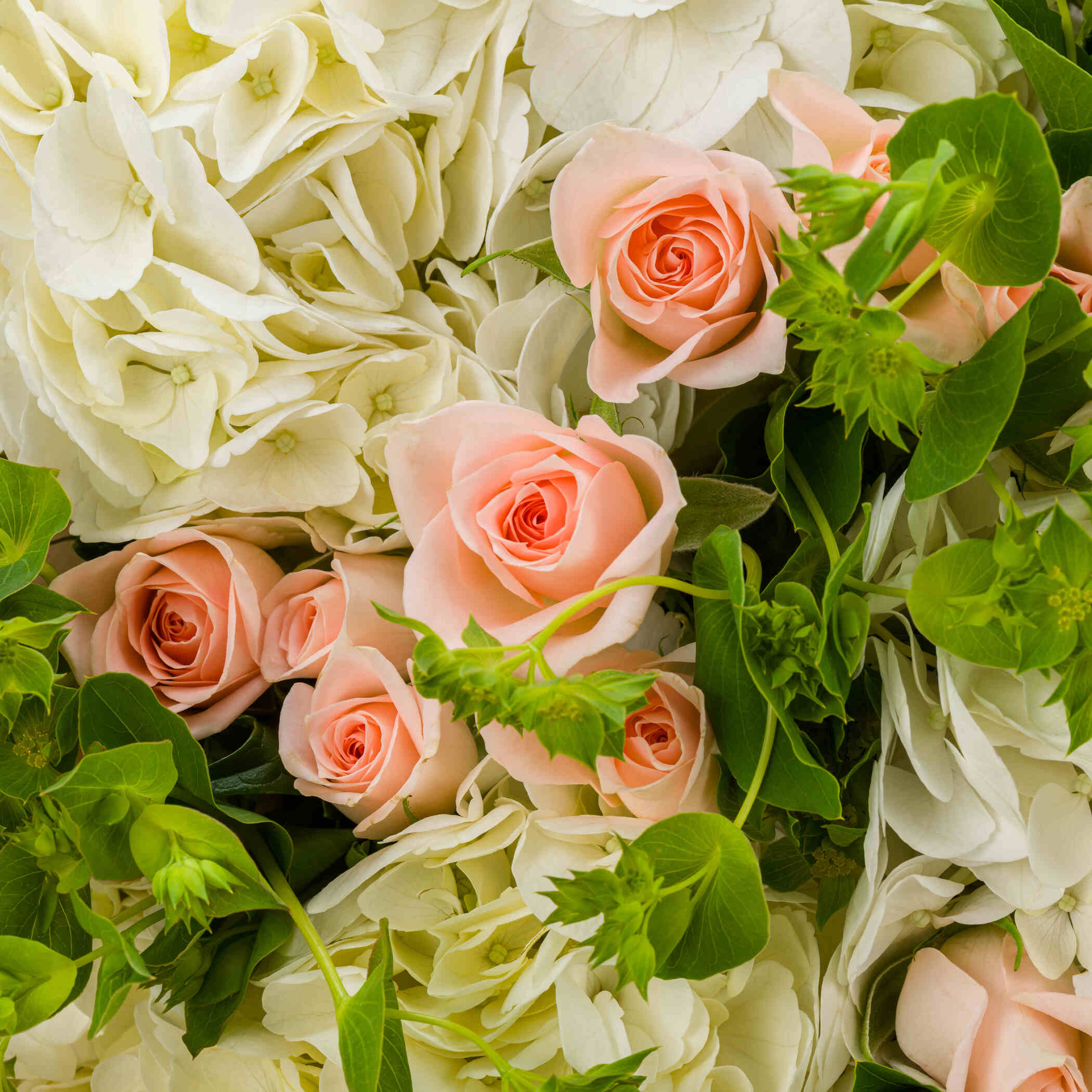The Princess Bouquet The Princess Bouquet