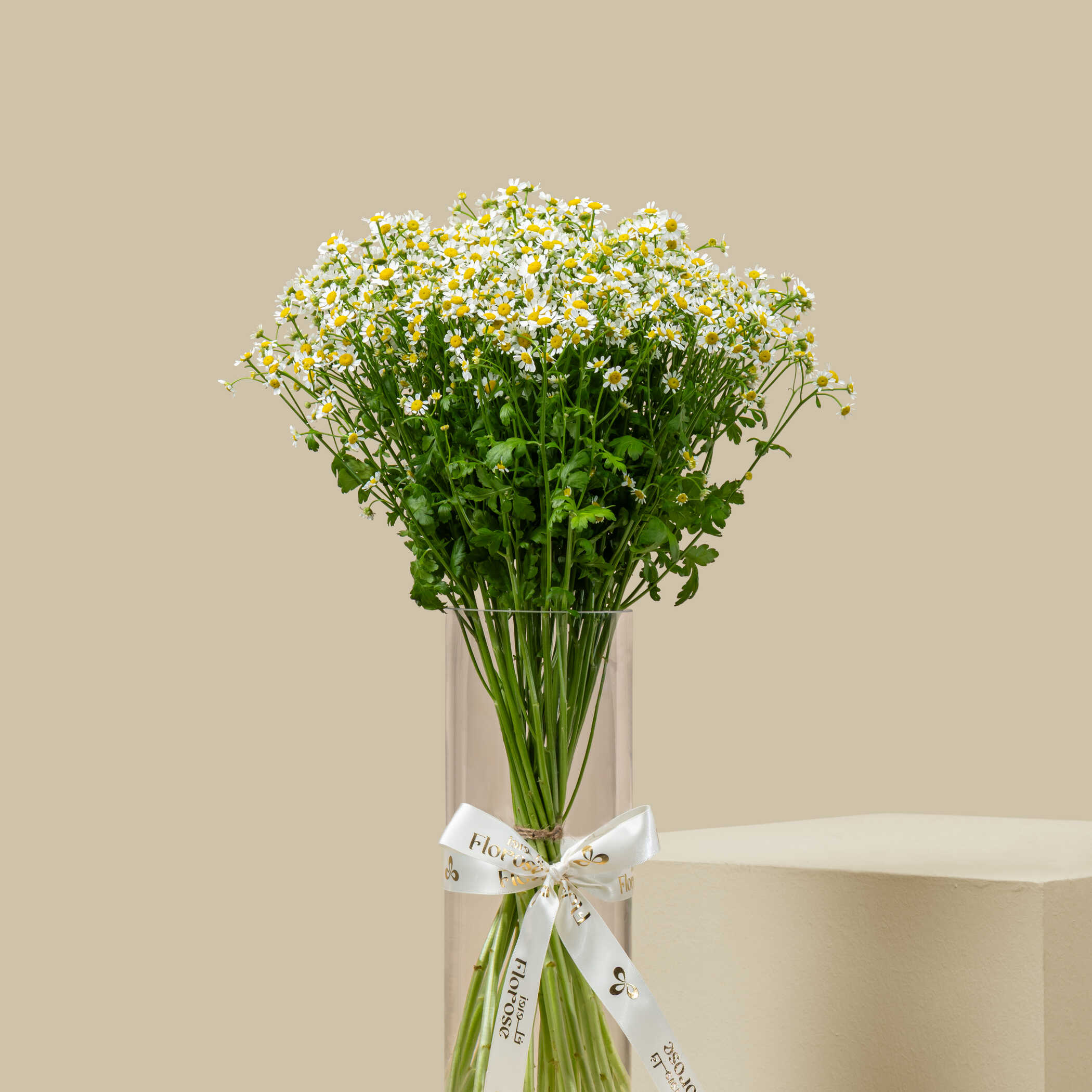 Tanacetum Vase Tanacetum Vase