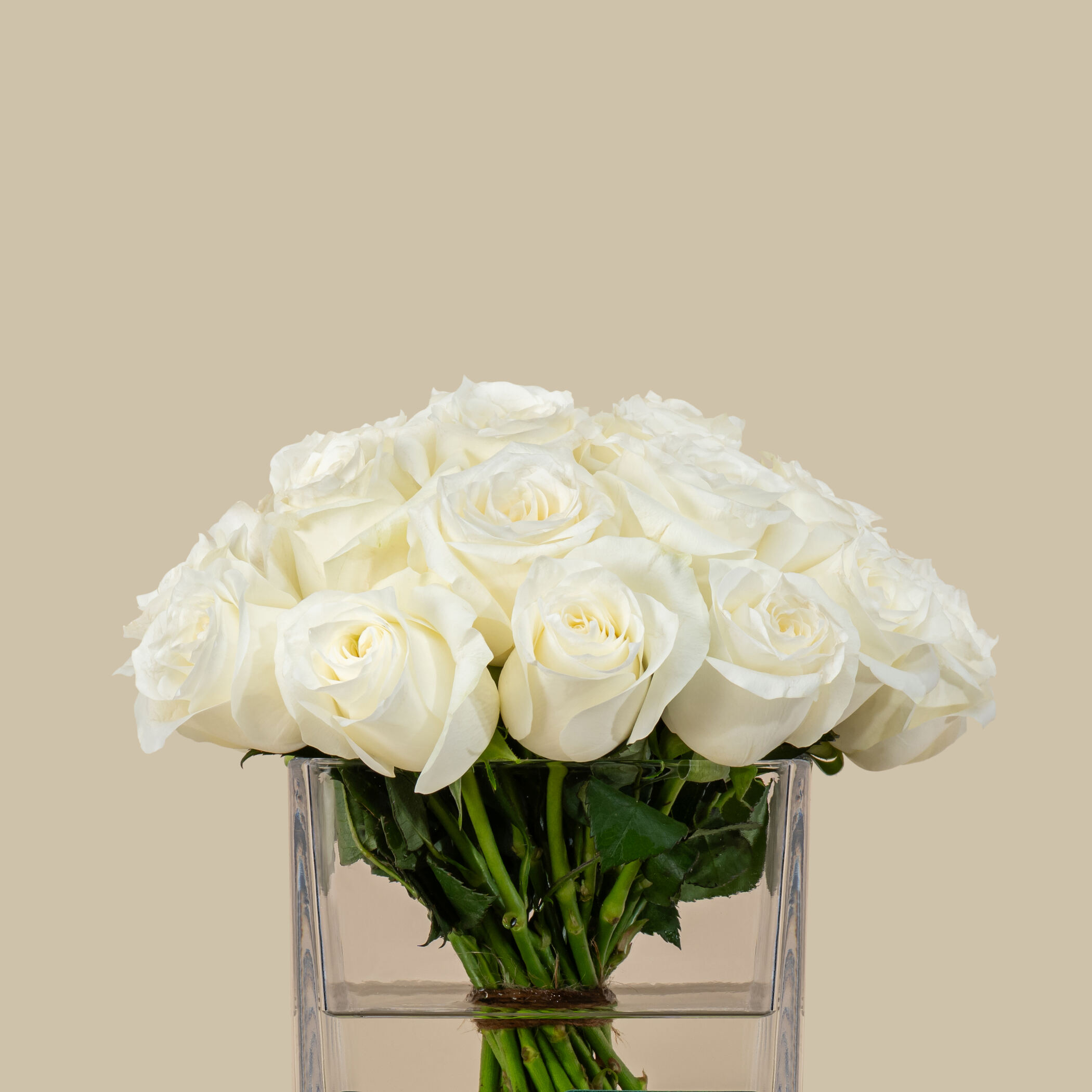 Dazzling Rose Square Vase White | 25 Flowers Dazzling Rose Square Vase White | 25 Flowers