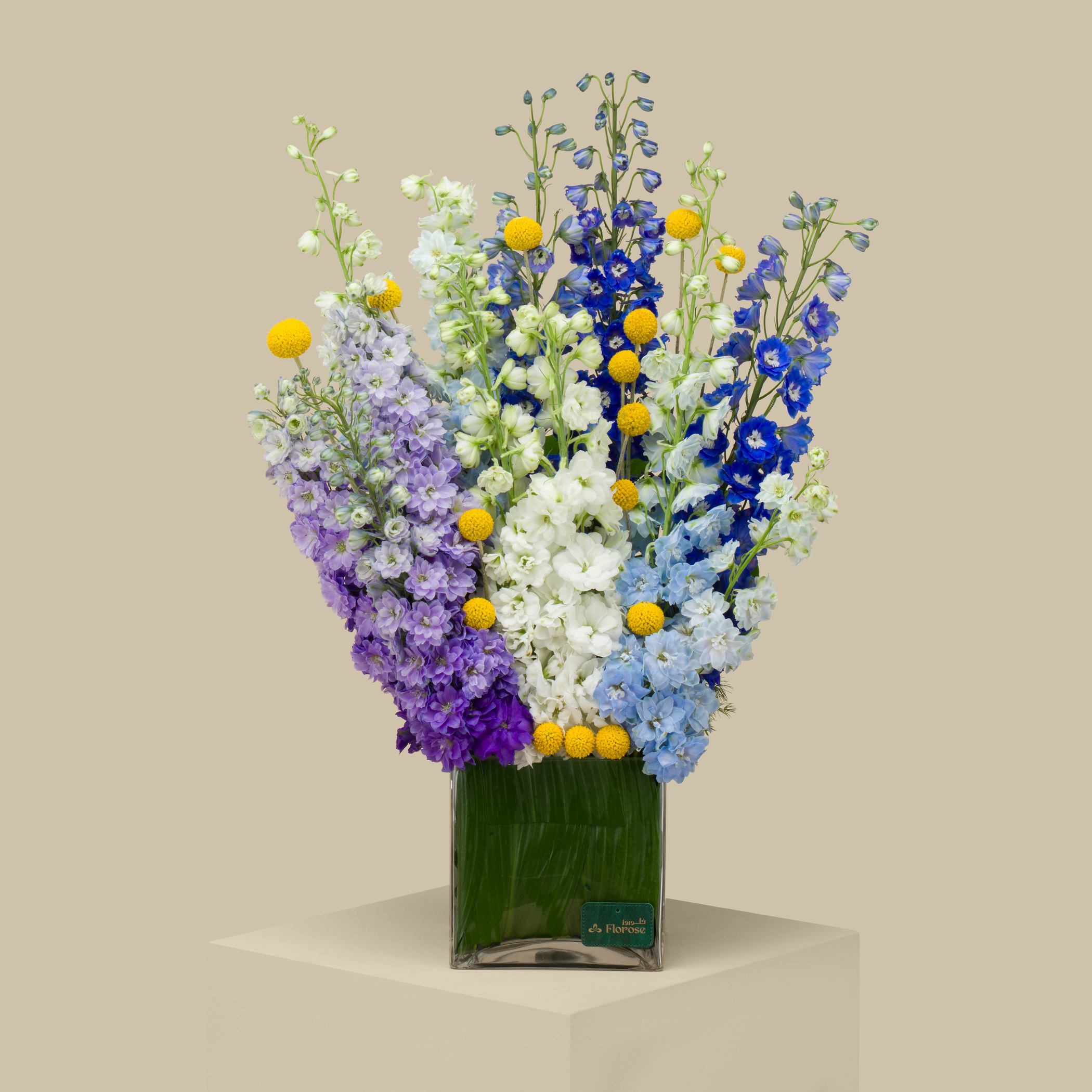 Magical Glimpse Square Vase Magical Glimpse Square Vase