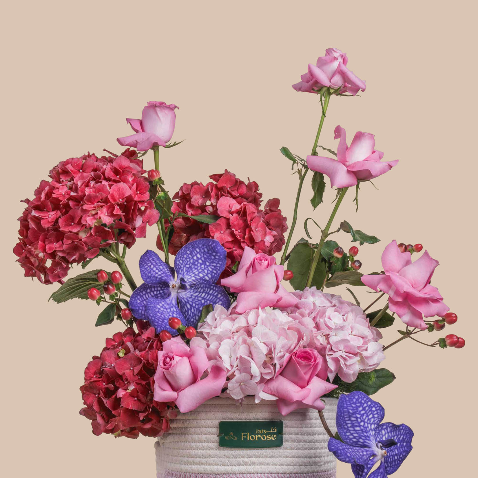 Vanda Touch Basket Vanda Touch Basket