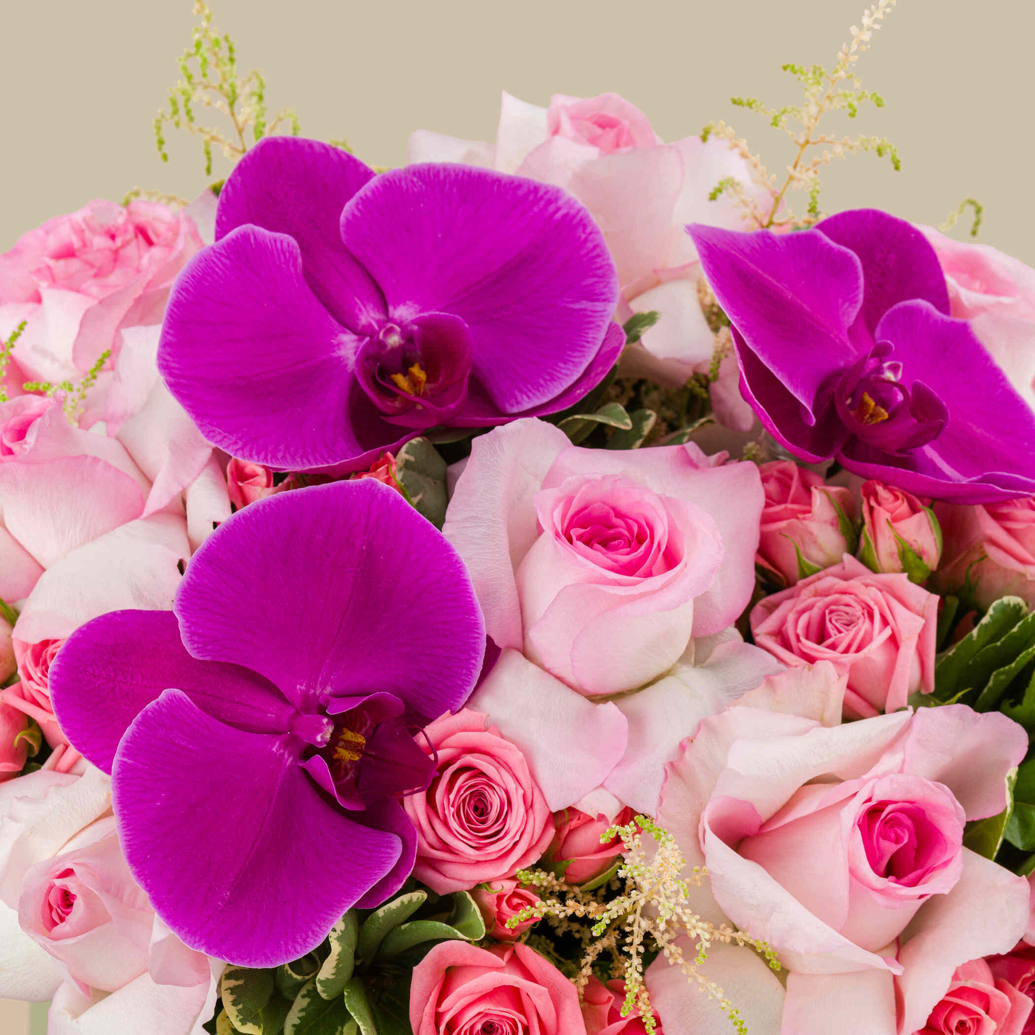 Blooms Valley Box Blooms Valley Box