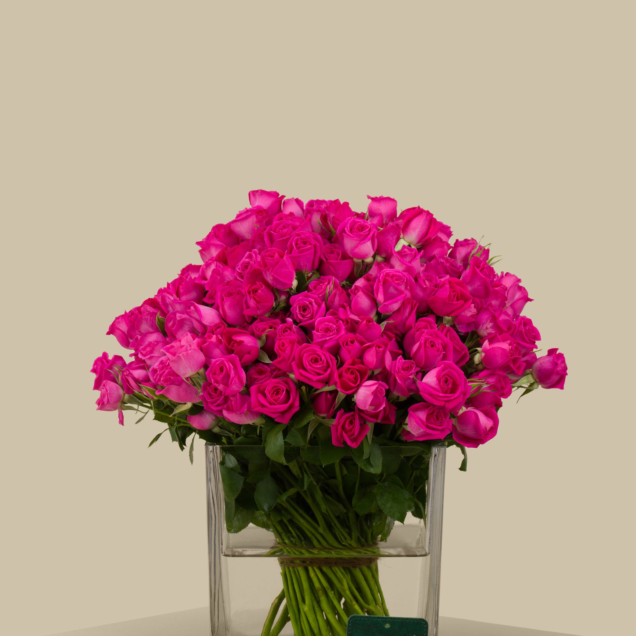 Glorious Spray Rose Square Vase Fuchsia | 30 Flowers Glorious Spray Rose Square Vase Fuchsia | 30 Flowers