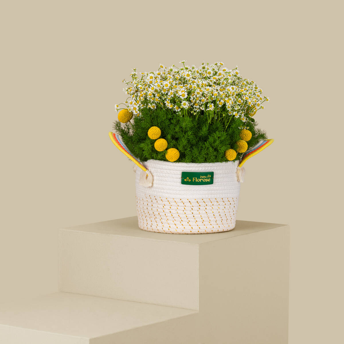 Rising Sun Basket Rising Sun Basket