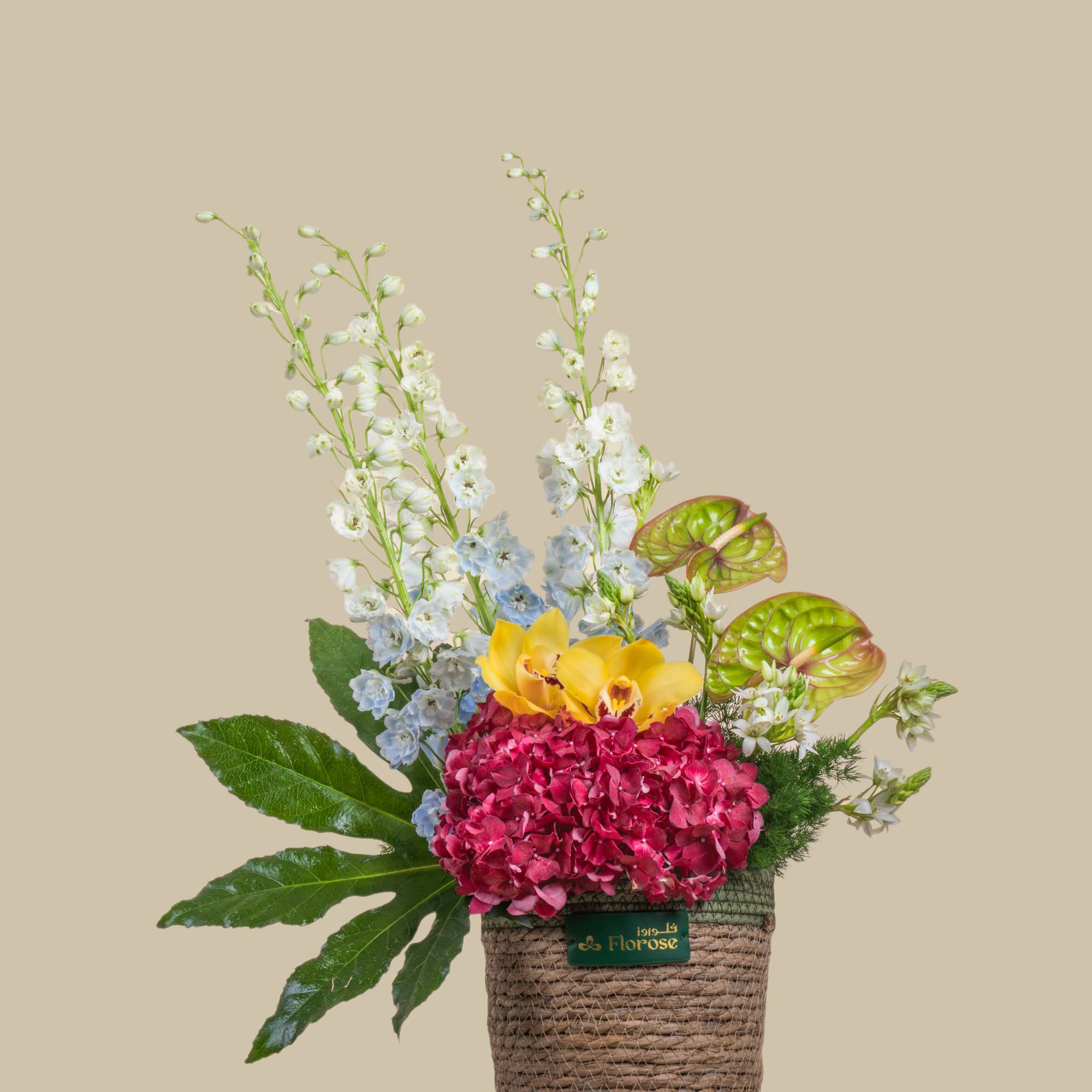 Coral Sun Basket Coral Sun Basket