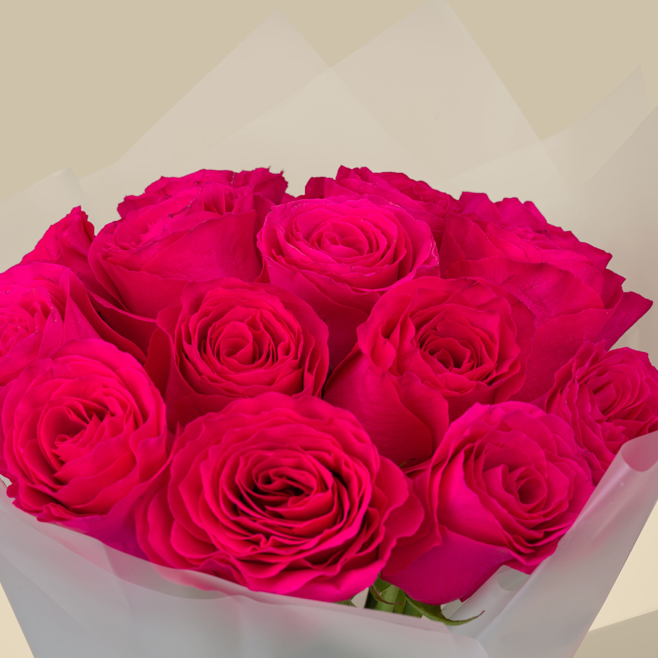 Prada Paradoxe EDP | Fuchsia Rose Bouquet Prada Paradoxe EDP | Fuchsia Rose Bouquet