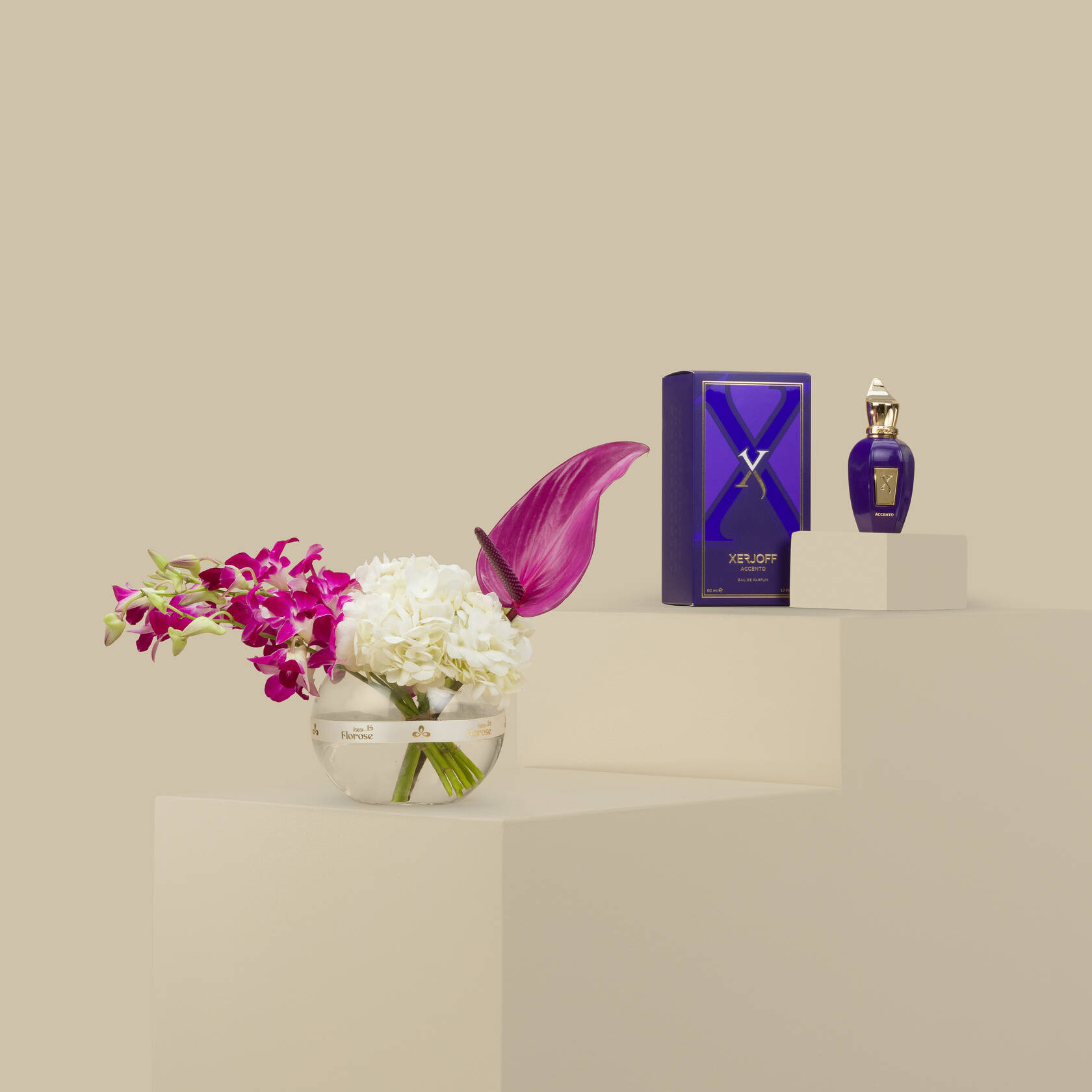 Xerjoff Accento EDP 50 ML | Purple Whisper Xerjoff Accento EDP 50 ML | Purple Whisper
