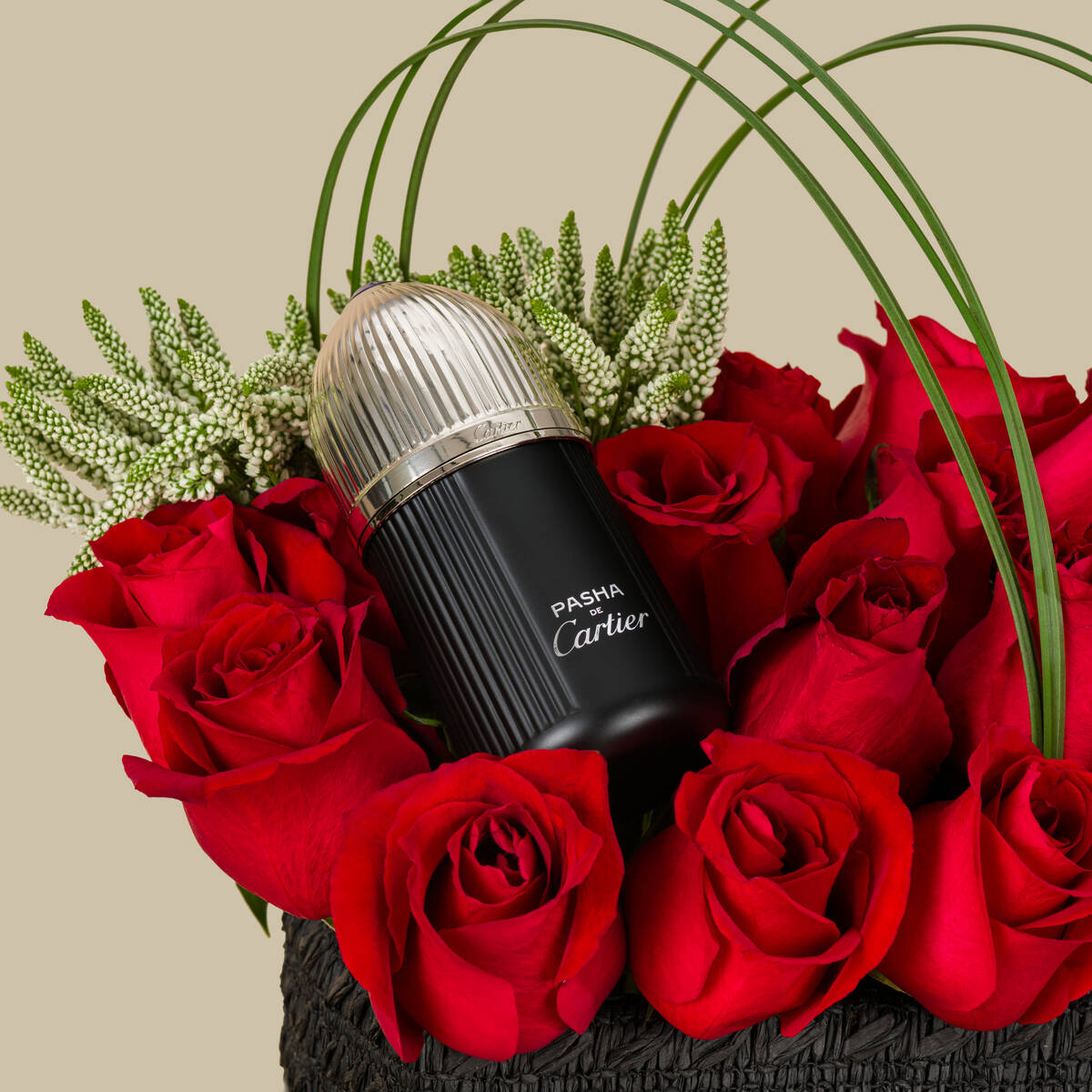 Cartier Pasha Noire EDT V2 | Purity Of Love Basket Cartier Pasha Noire EDT V2 | Purity Of Love Basket