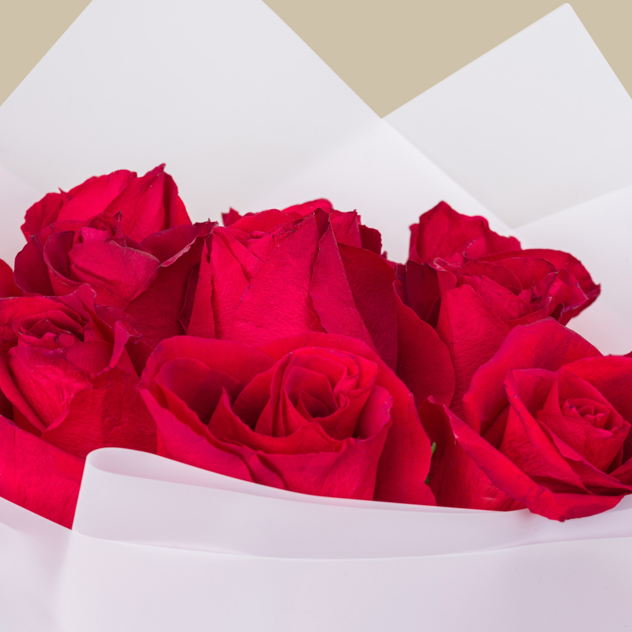 Prada Paradoxe Intense EDP | Ever Red Rose Bouquet Prada Paradoxe Intense EDP | Ever Red Rose Bouquet