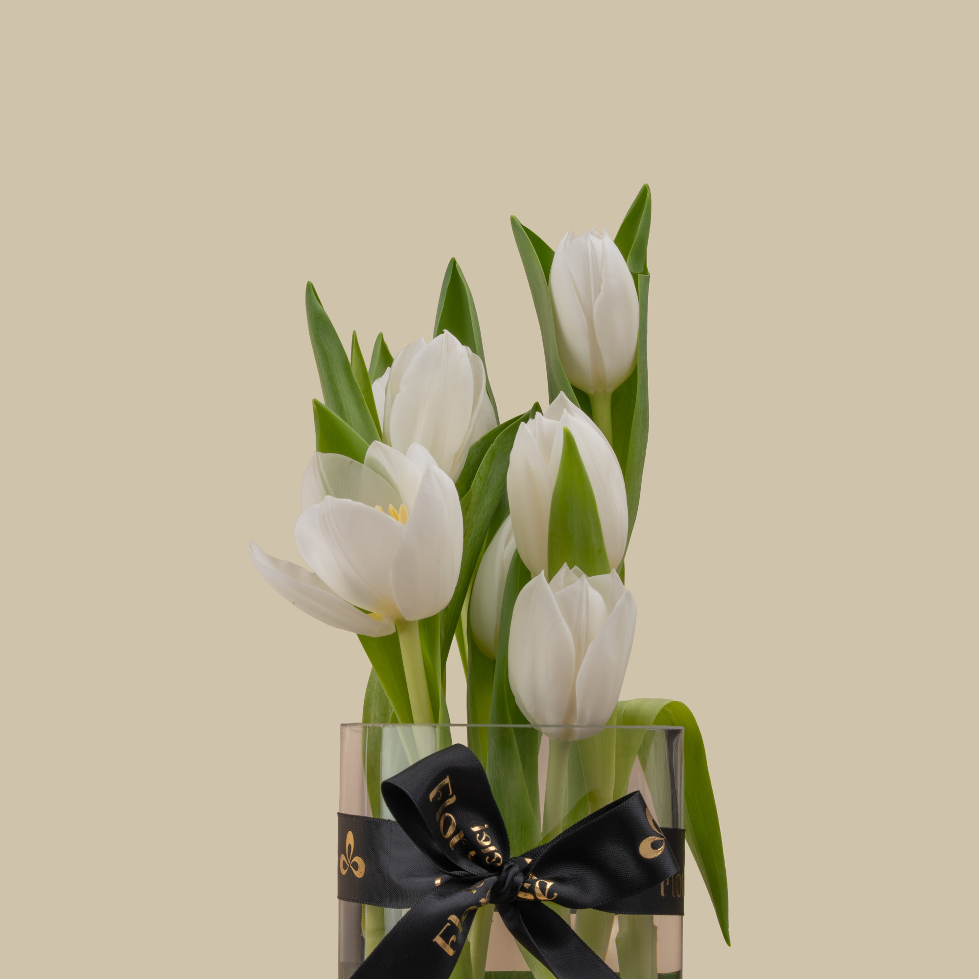 White Tulip Vase with ZUS Black Leather Bracelet White Tulip Vase with ZUS Black Leather Bracelet