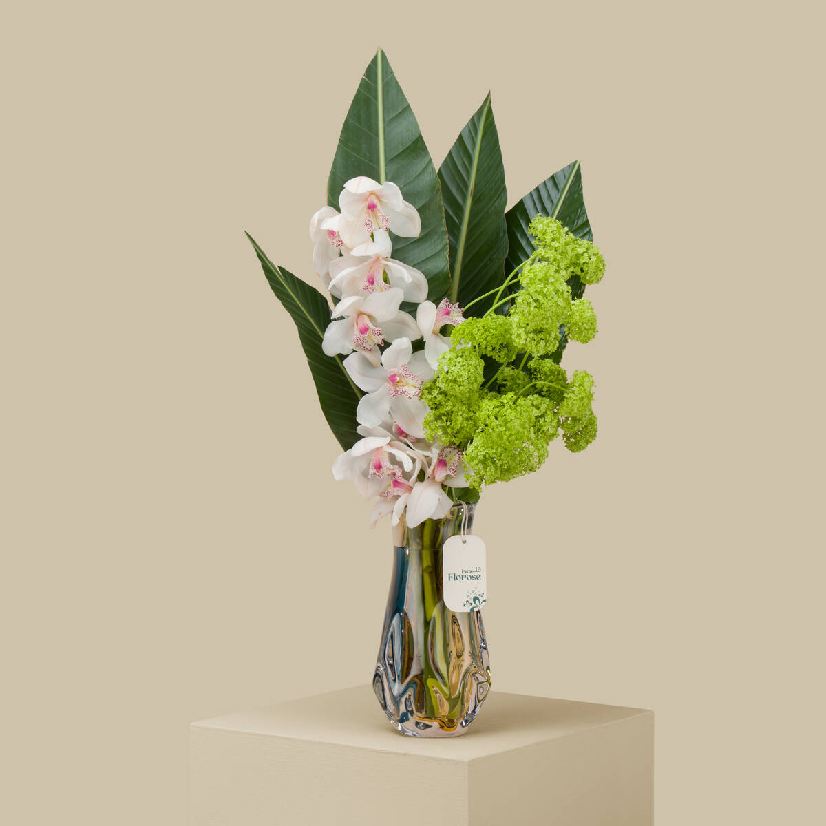 Bliss Premium Vase Bliss Premium Vase