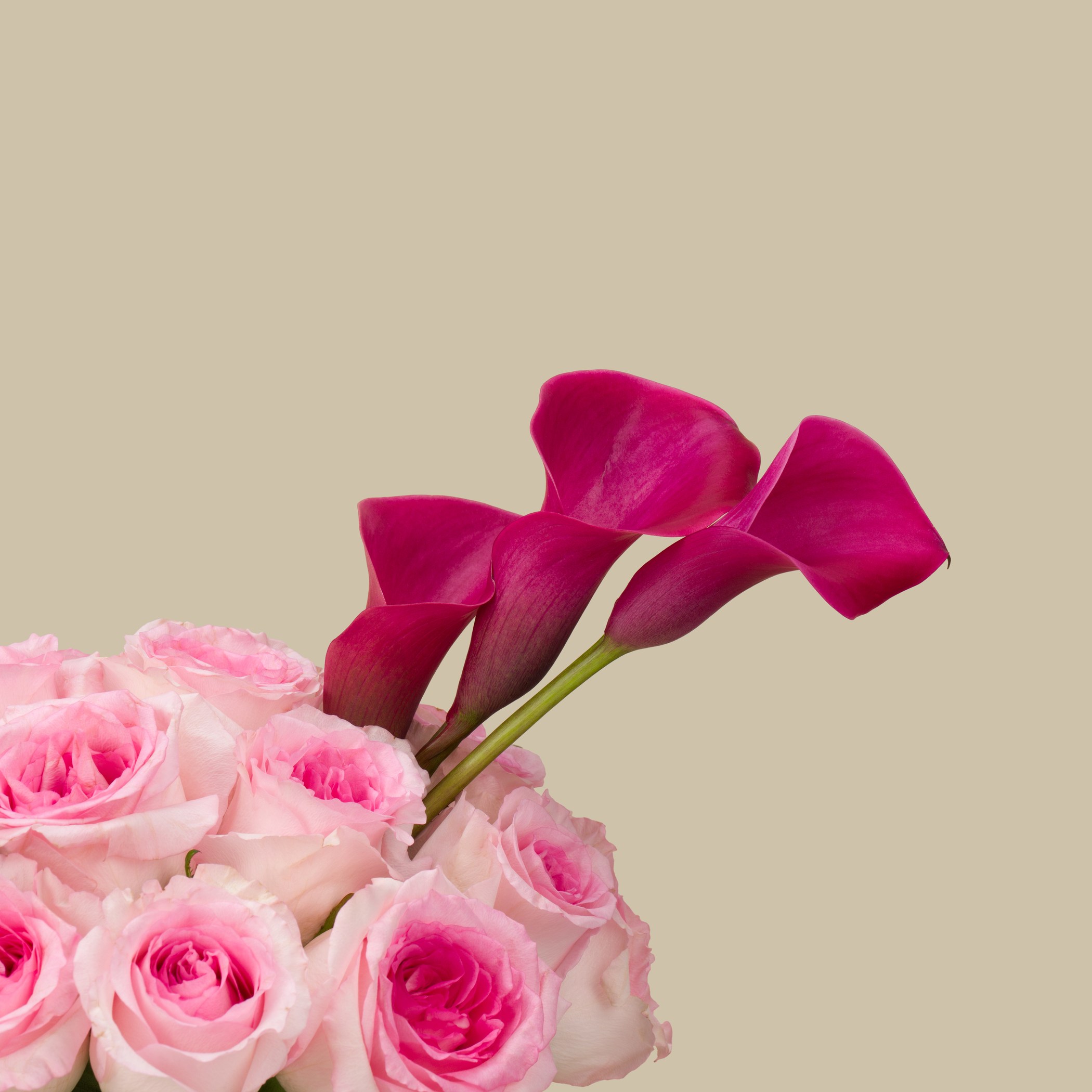 Ganache Strawberry Cake | Blossom Vase Ganache Strawberry Cake | Blossom Vase