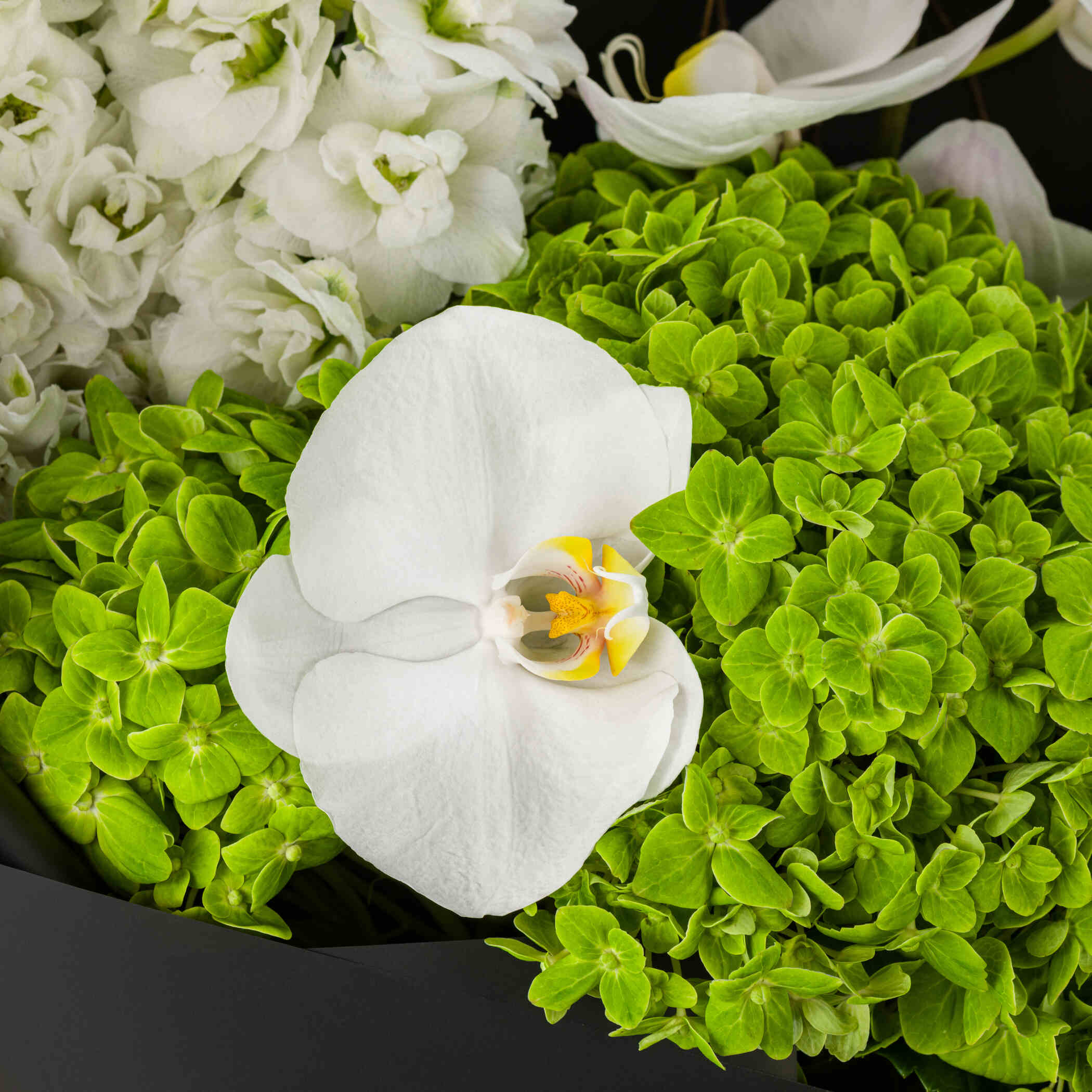 Innocent Look Bouquet Innocent Look Bouquet