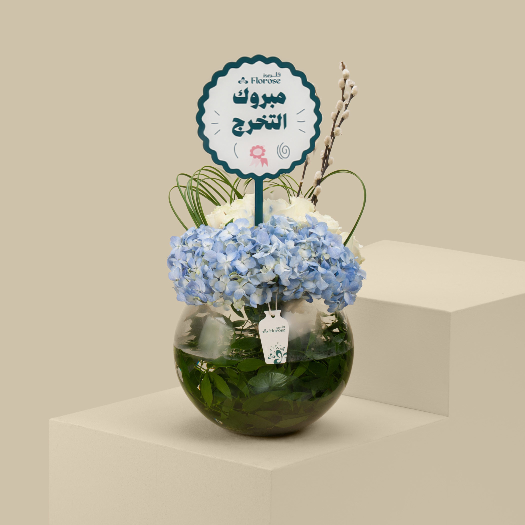 مزهرية دائرية الثلج الصافي | تغريسة مبروك التخرج مزهرية دائرية الثلج الصافي | تغريسة مبروك التخرج