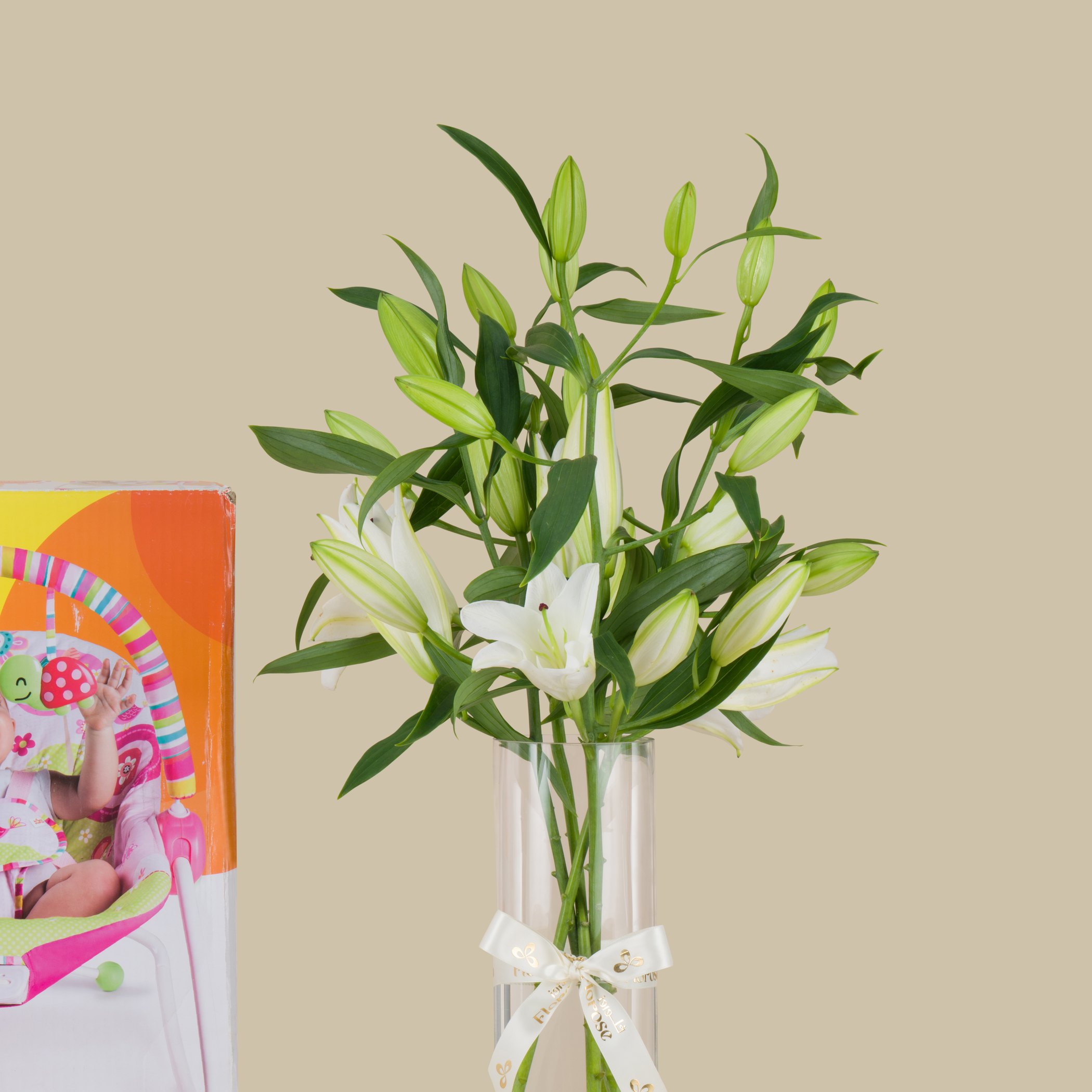 Bright Starts Raspberry Garden Rocker | Beauty Vase Bright Starts Raspberry Garden Rocker | Beauty Vase
