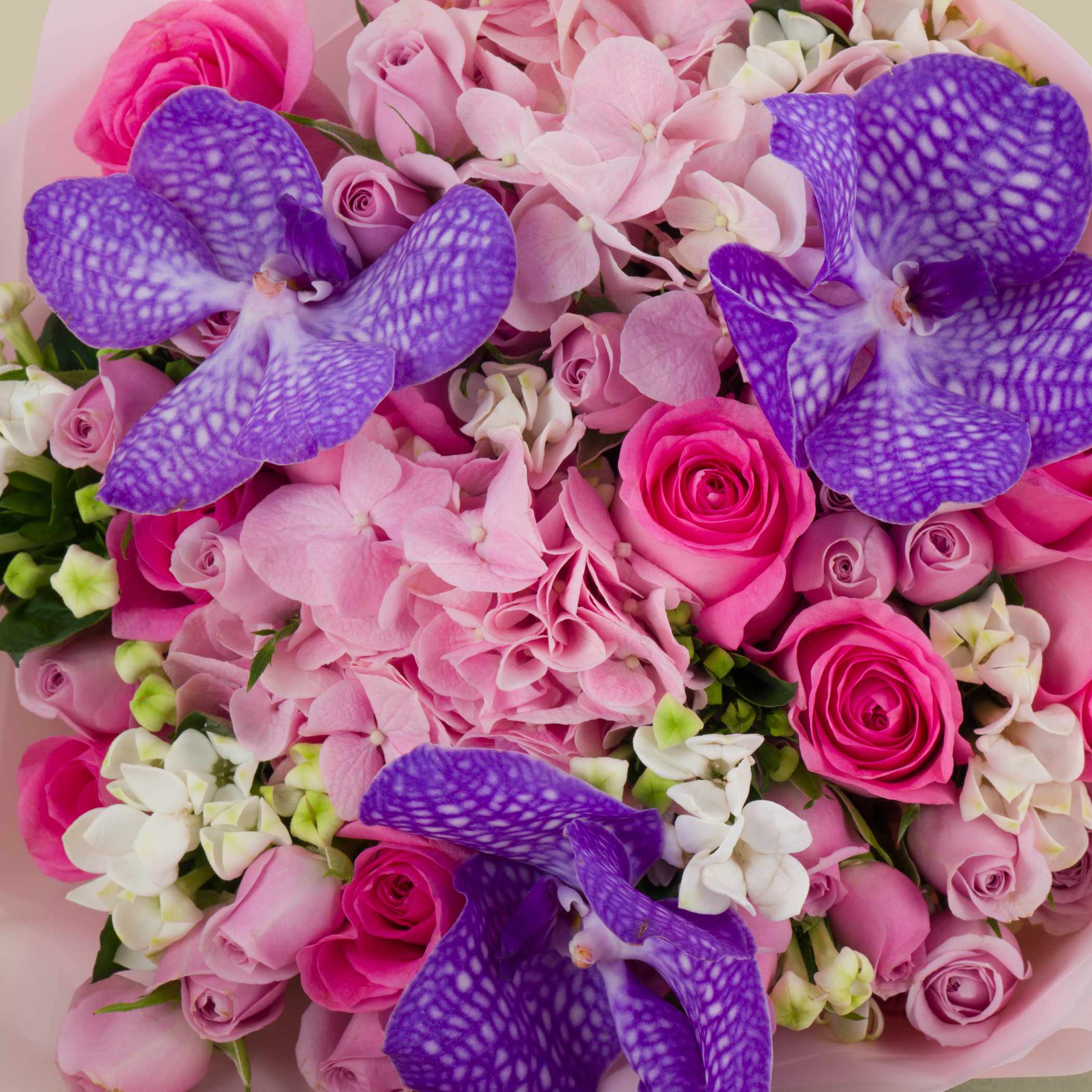 Damas Prisma Necklace | Pink Beauty Bouquet Damas Prisma Necklace | Pink Beauty Bouquet