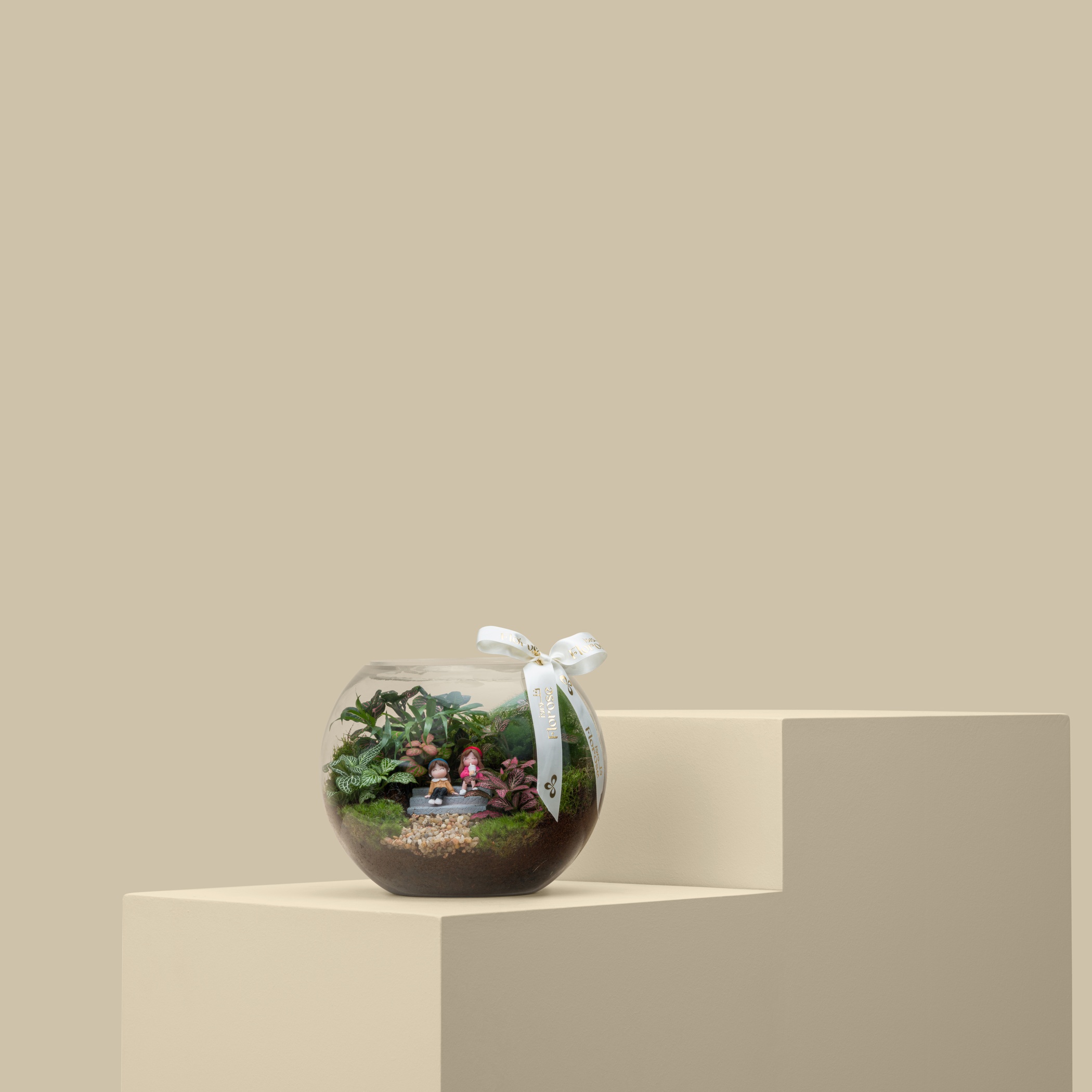 Terrarium Friends Garden | Medium Terrarium Friends Garden | Medium