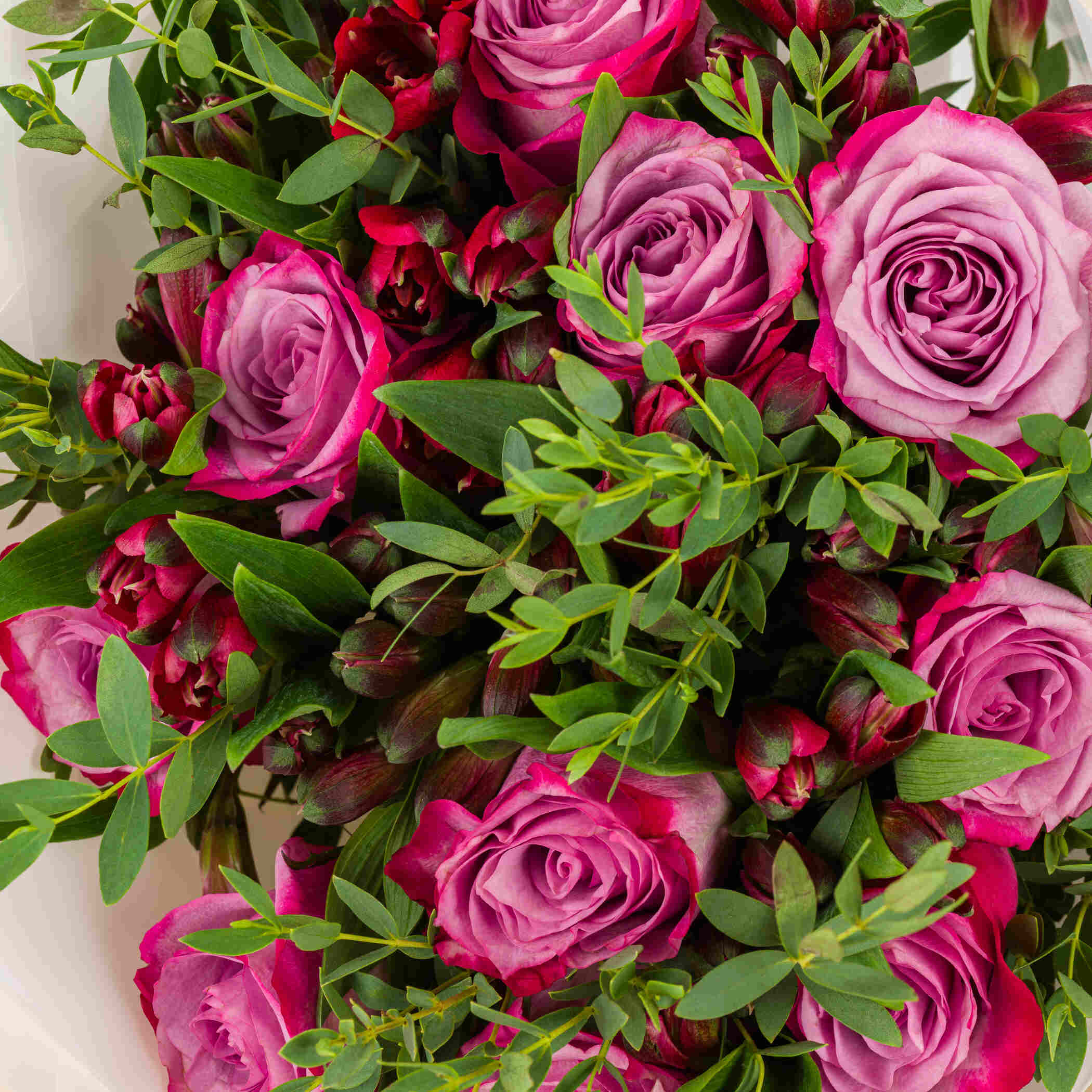 باقة قصيدة الزهور باقة قصيدة الزهور