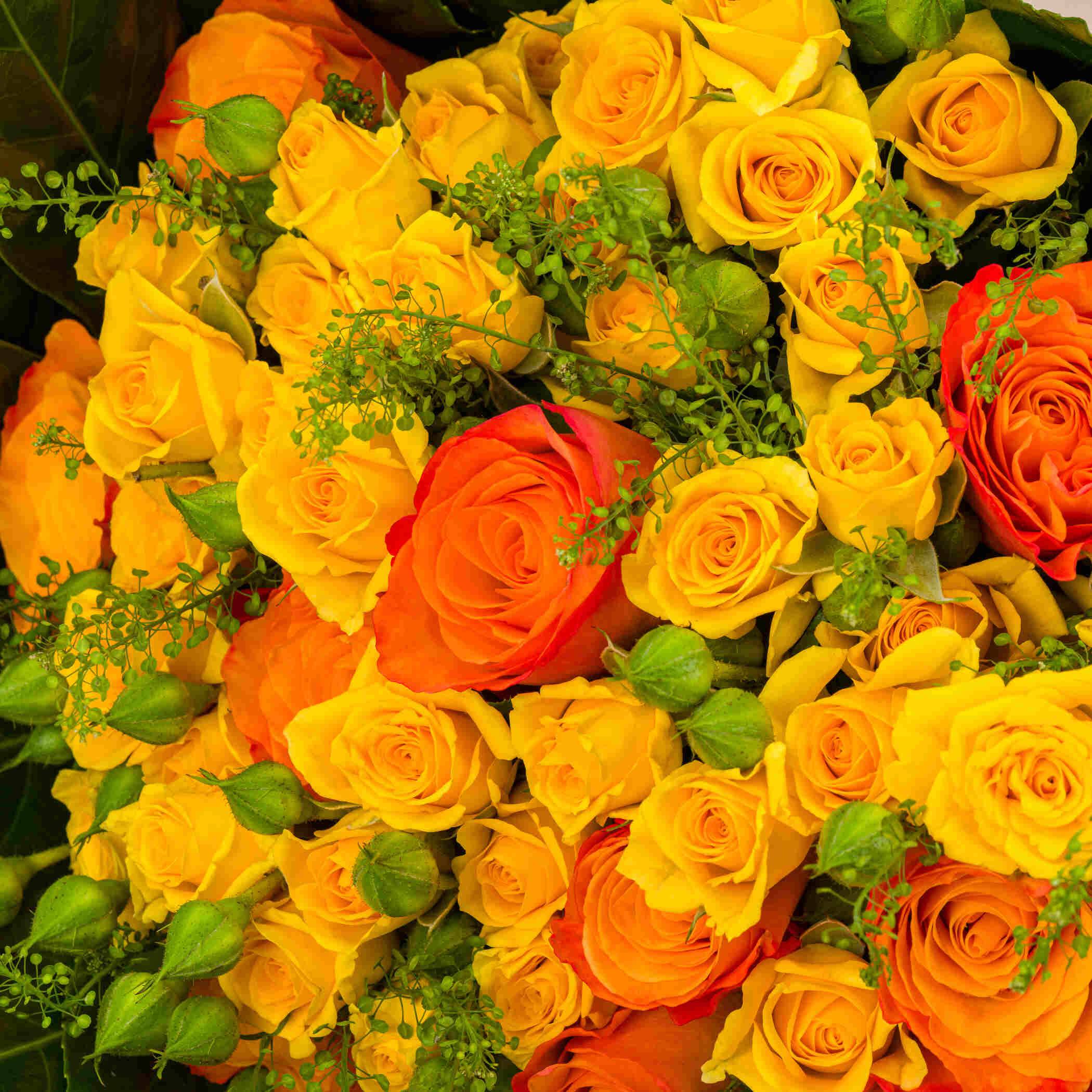 Hermes Terre D'hermes EDT | Story Of Colors Bouquet Hermes Terre D'hermes EDT | Story Of Colors Bouquet