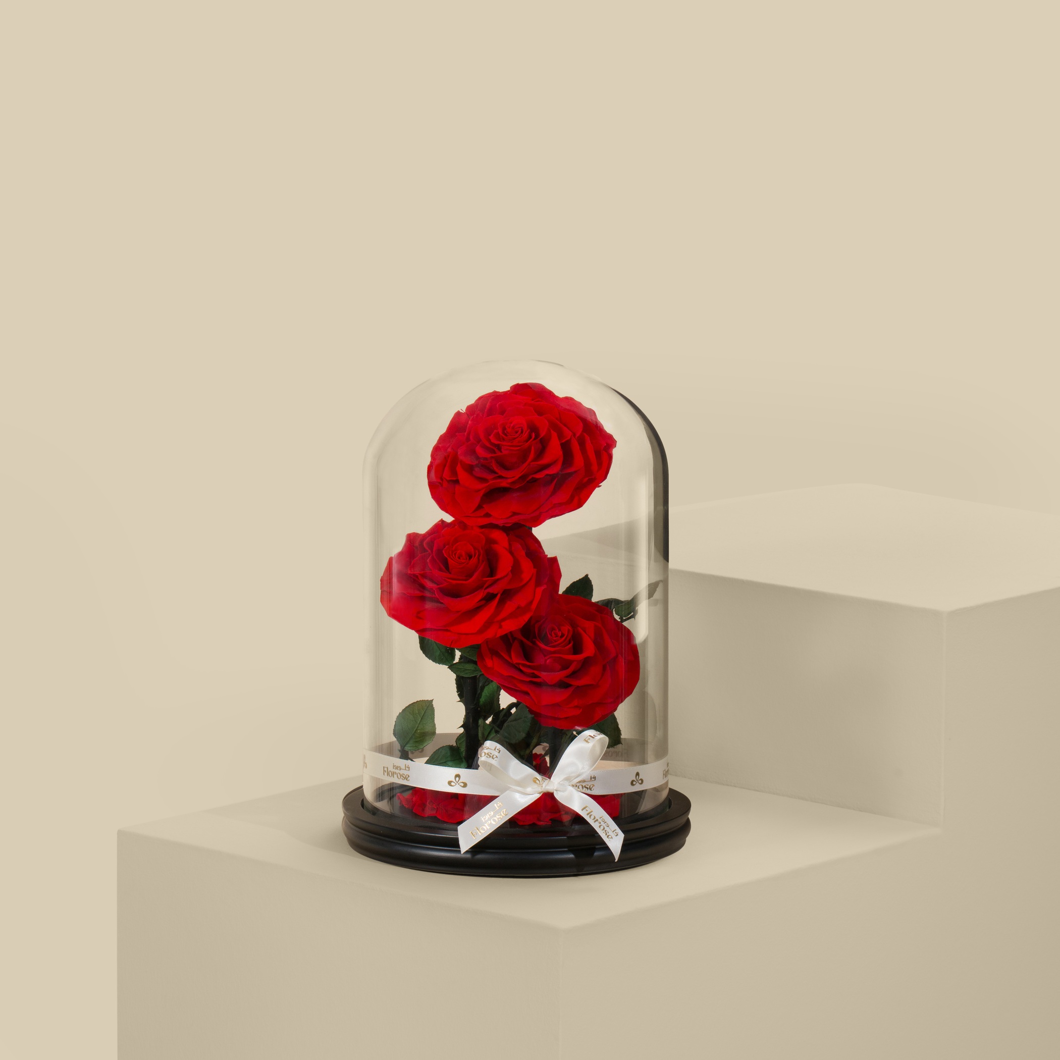 3 Preserved Red Roses 3 Preserved Red Roses