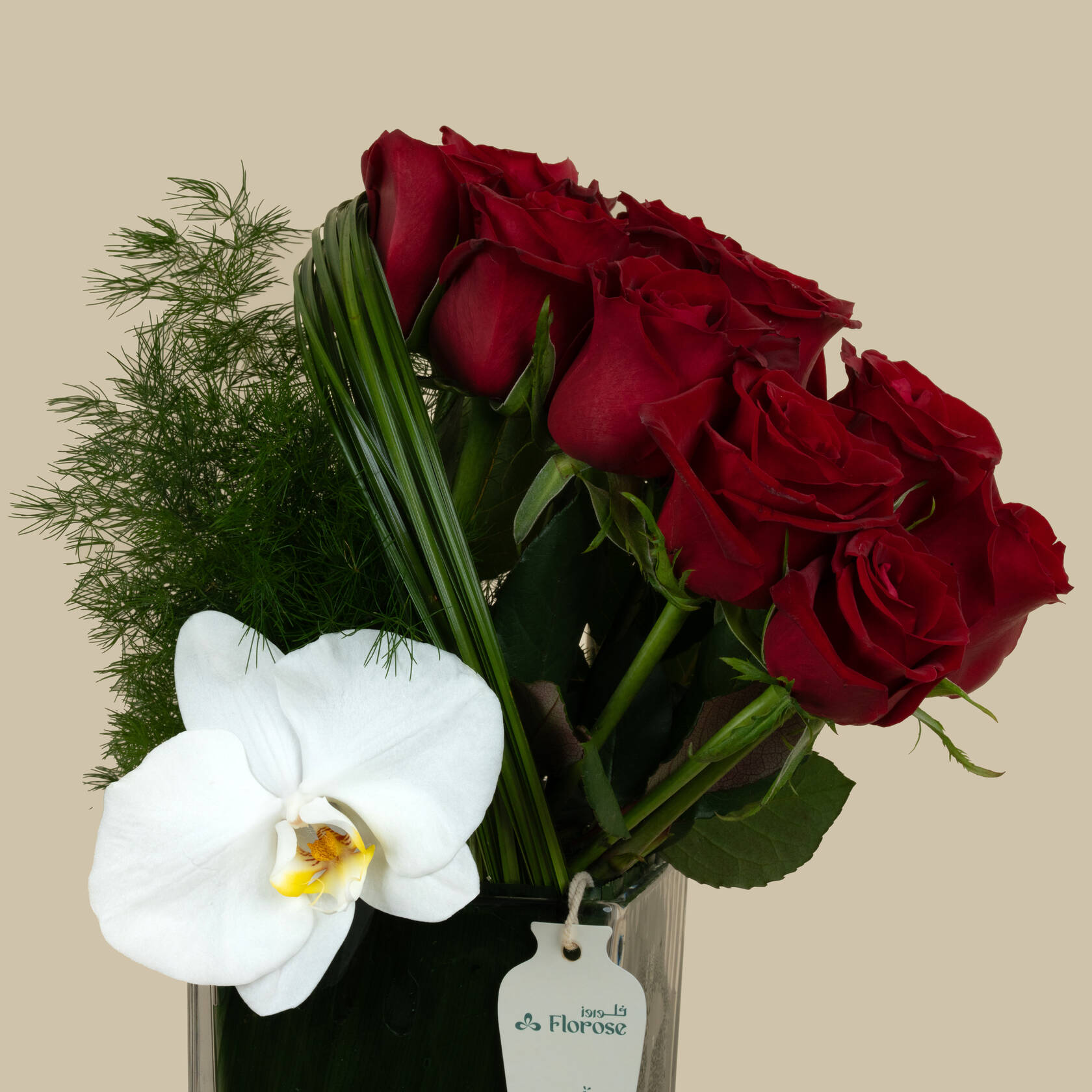 Munch Chocolate Cake Large Size | Loyalty Square Vase Munch Chocolate Cake Large Size | Loyalty Square Vase