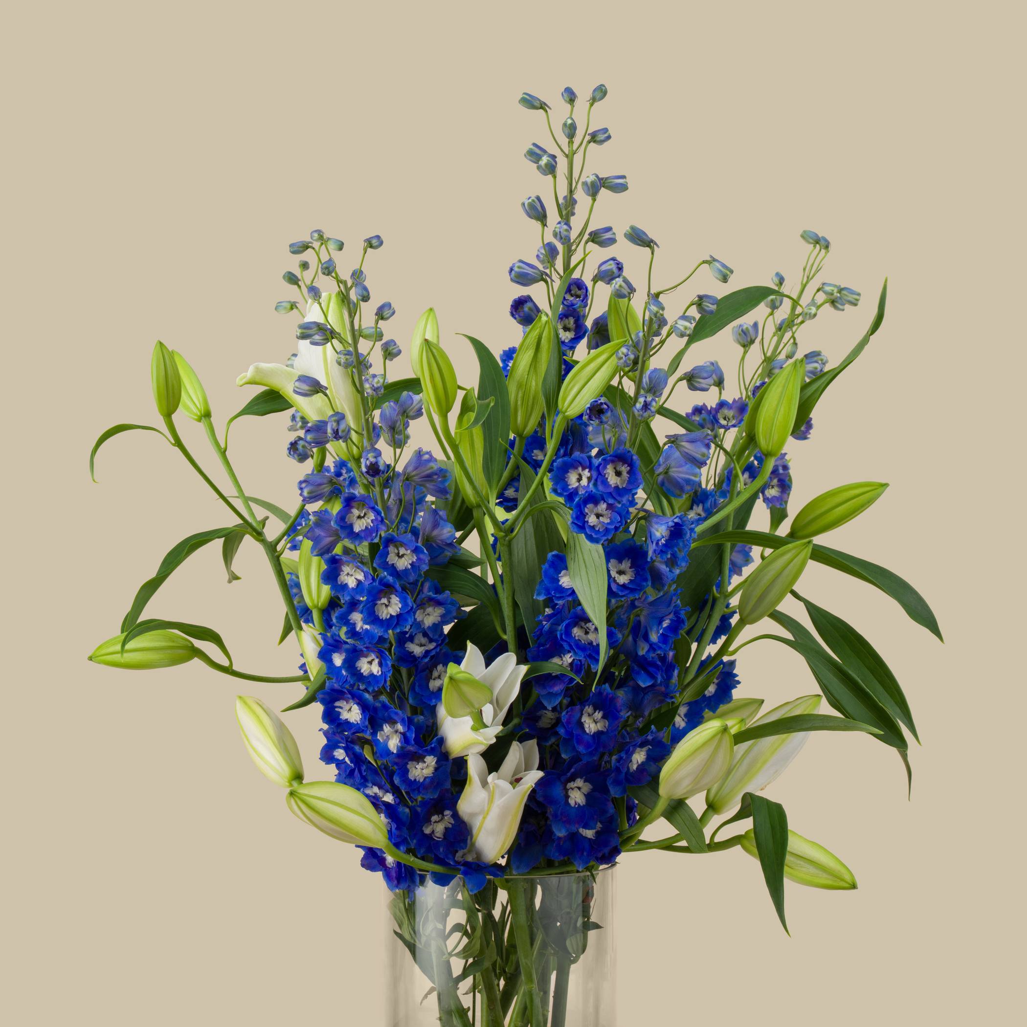 Horizon Vase Horizon Vase