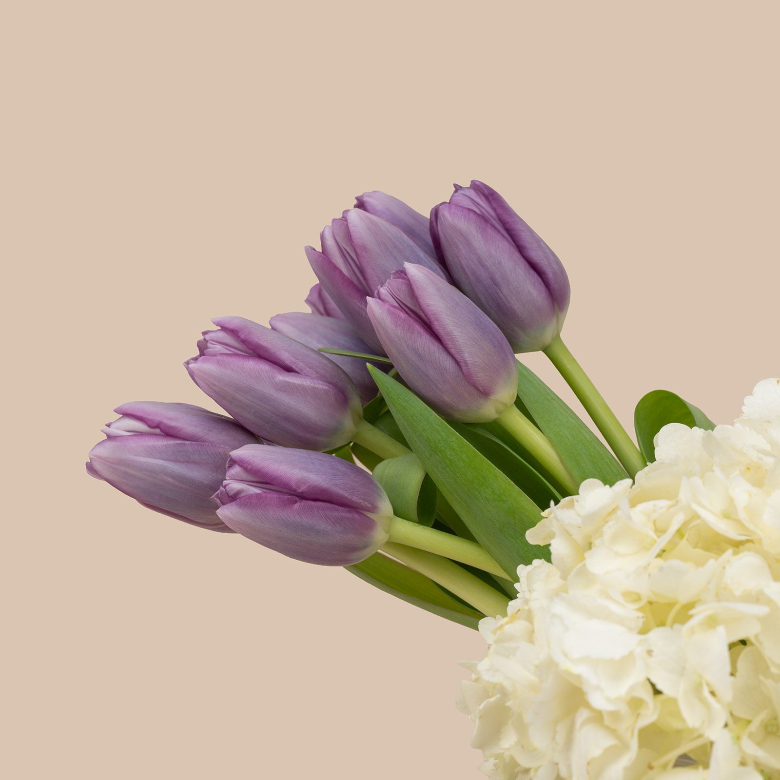 Timeless Sparkle Vase Timeless Sparkle Vase