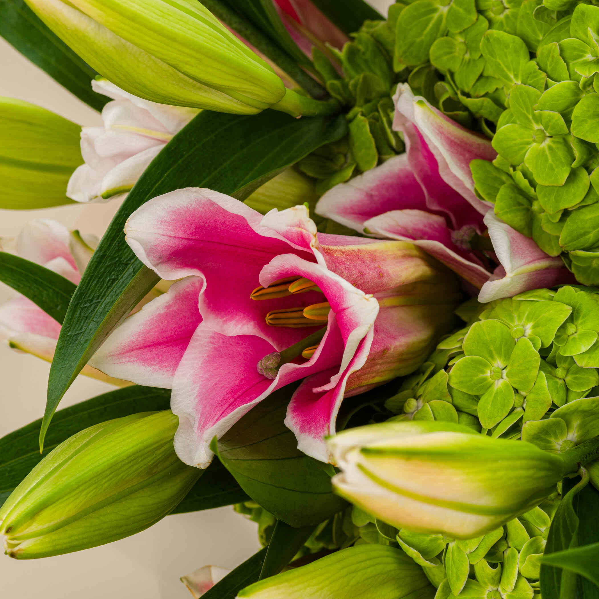 Life Spring Bouquet Life Spring Bouquet