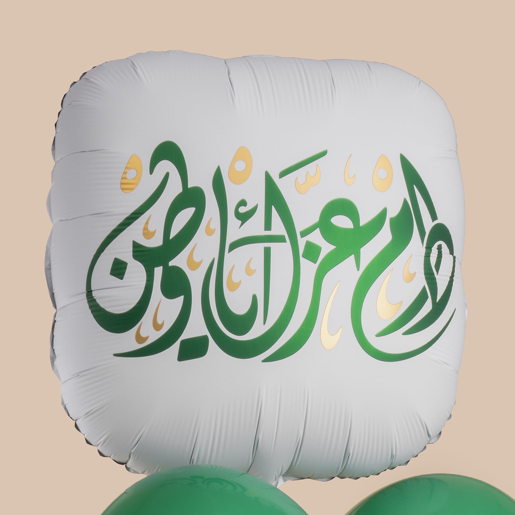 Sansevieria plant Pot | National Day Balloon Set Sansevieria plant Pot | National Day Balloon Set