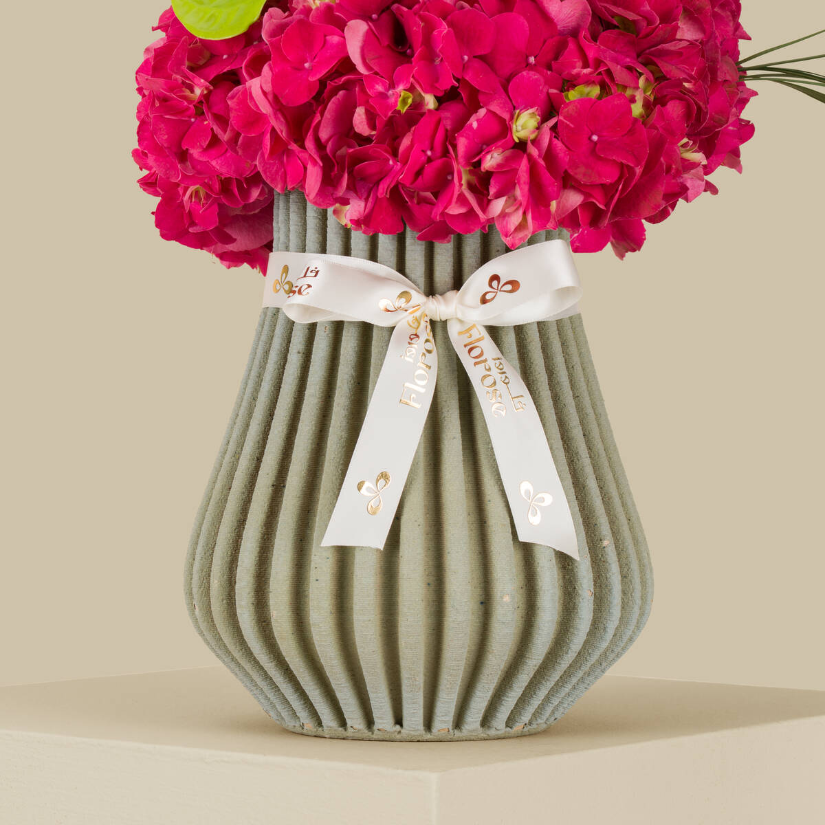 Seniorita Premium Vase Seniorita Premium Vase