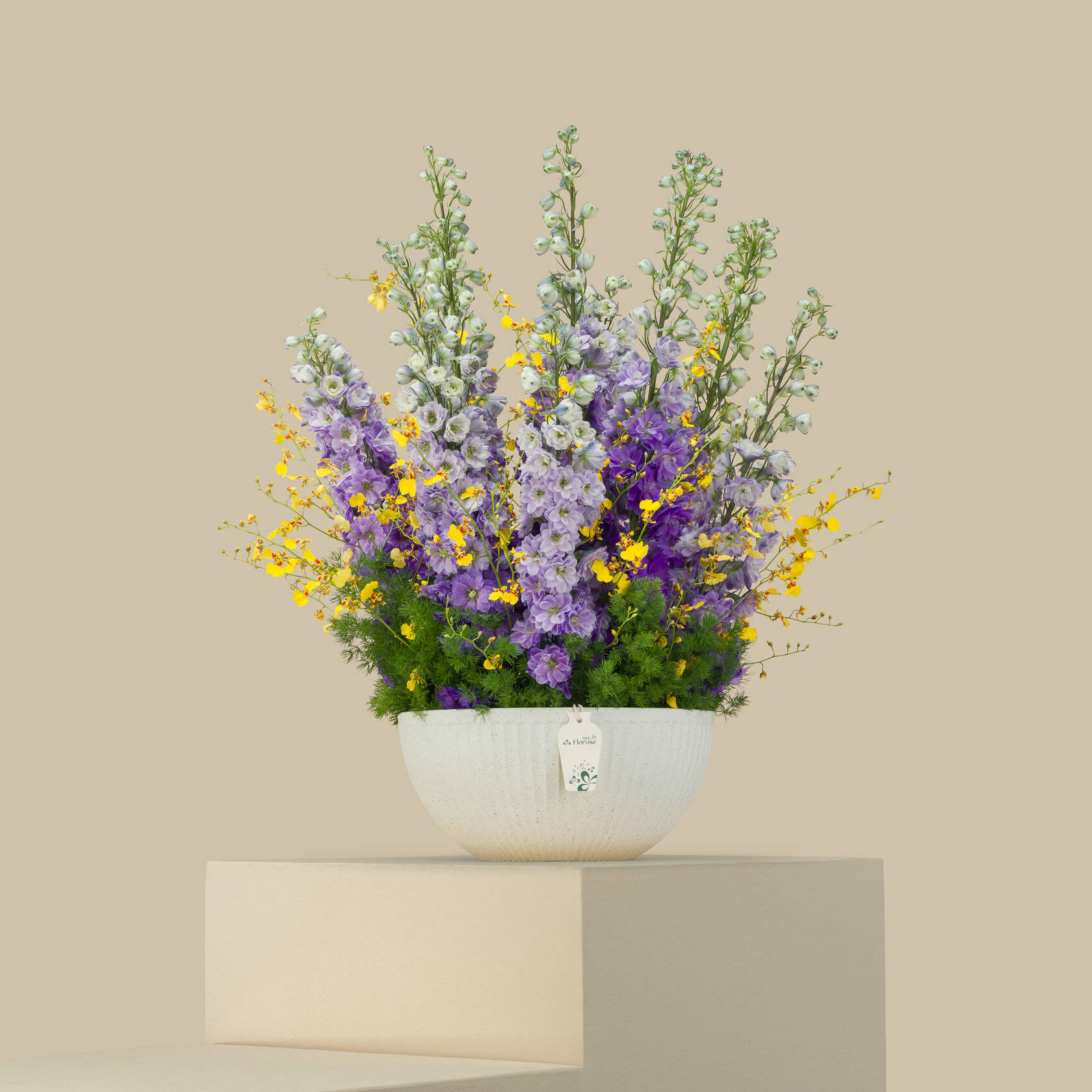 Violet Oasis Premium Vase Violet Oasis Premium Vase