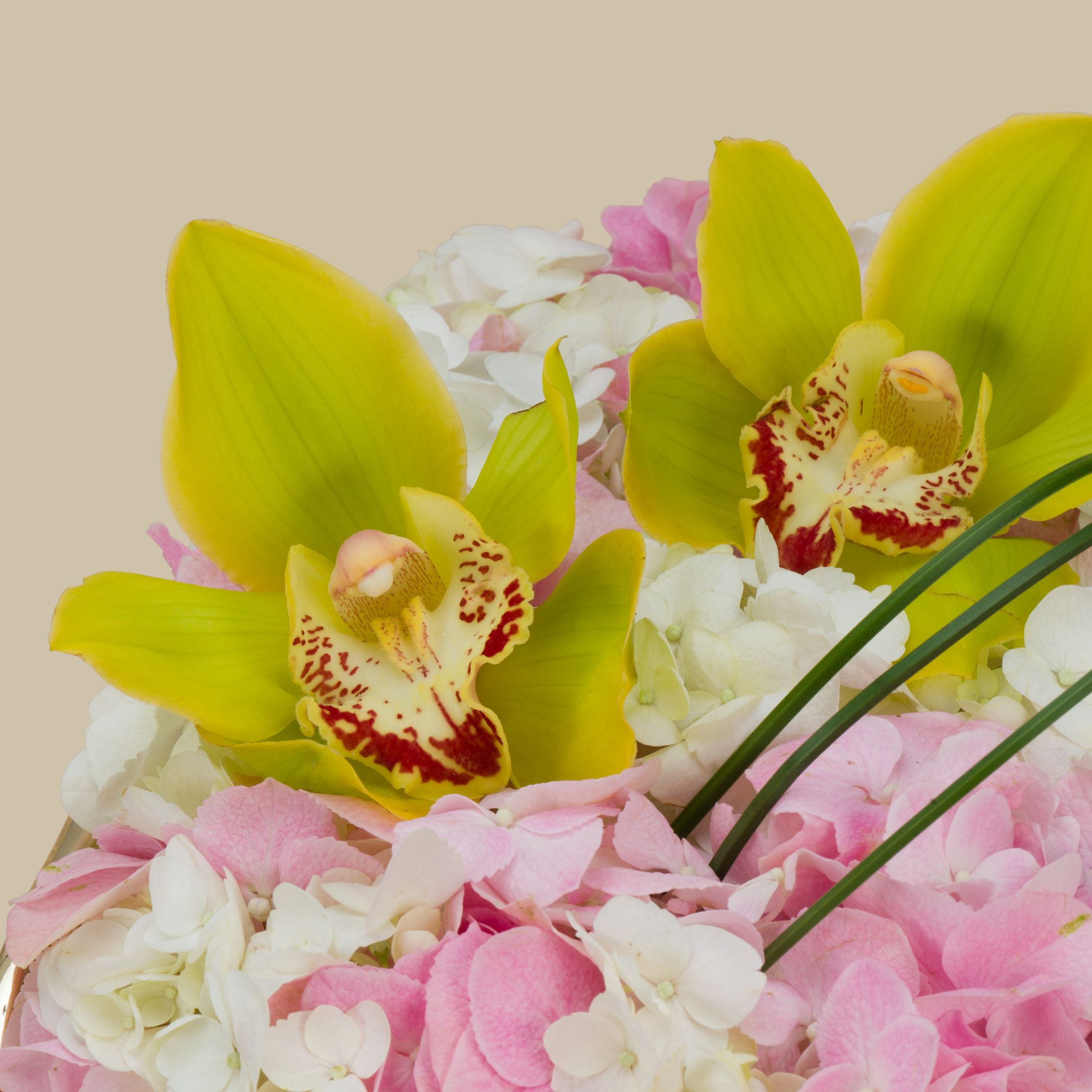 Patchi Luxury Tray 60 Chocolates | Pink and White Roses Patchi Luxury Tray 60 Chocolates | Pink and White Roses