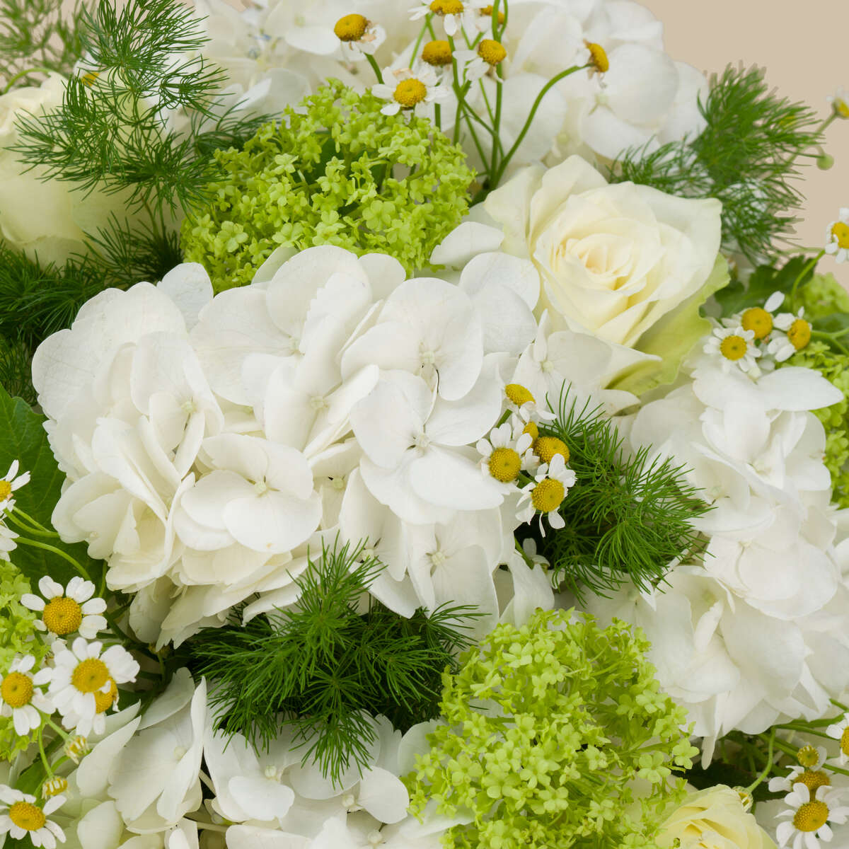 Royal Purity Premium Vase Royal Purity Premium Vase
